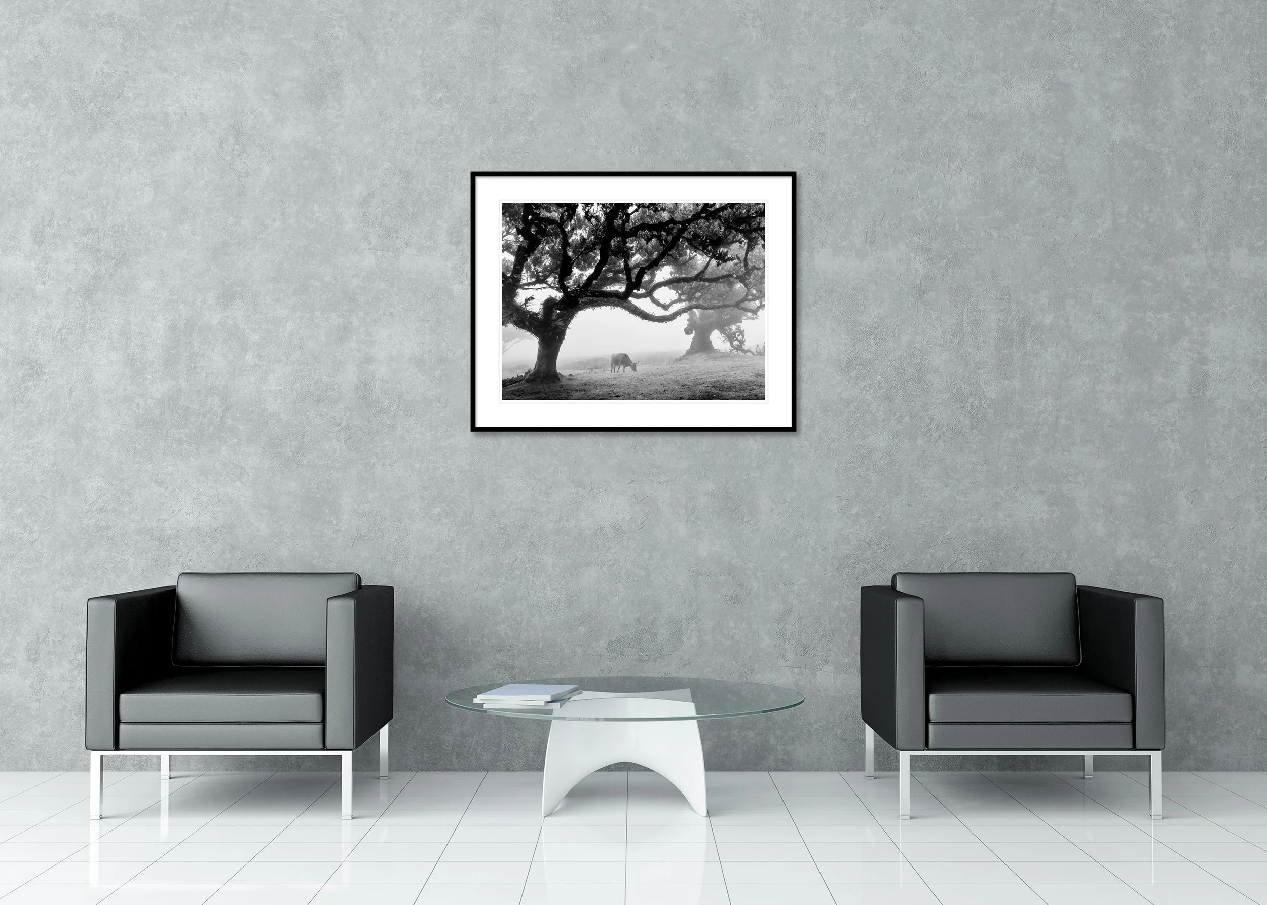 Cows in a Foggy Pasture Study 4 – Portugal, black-and-white archival pigment print in a classic frame with a mount and anti-reflective glass