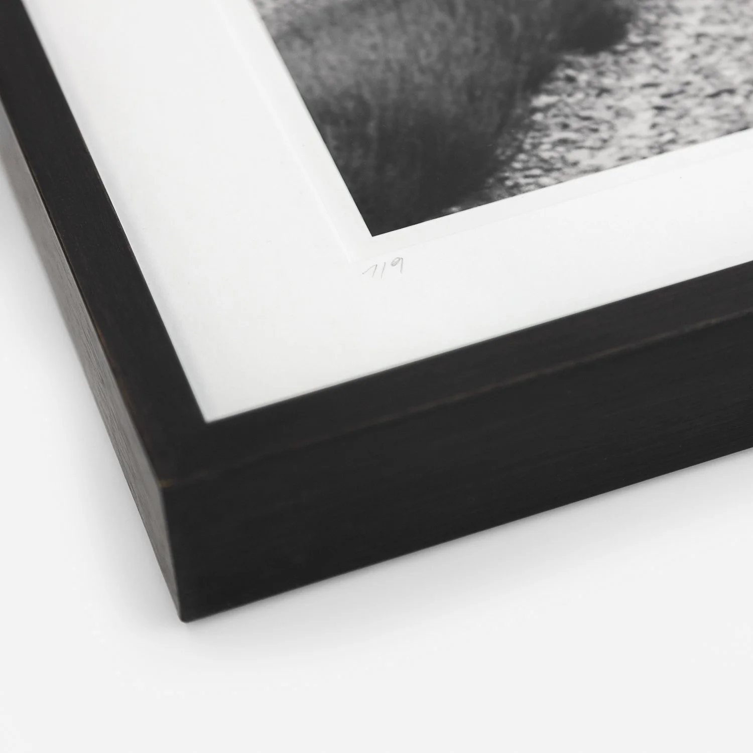 Detail of the handwritten edition number 1/9 and archival mount inside the wooden frame of Lonely Tree in Lavender by Gerald Berghammer.