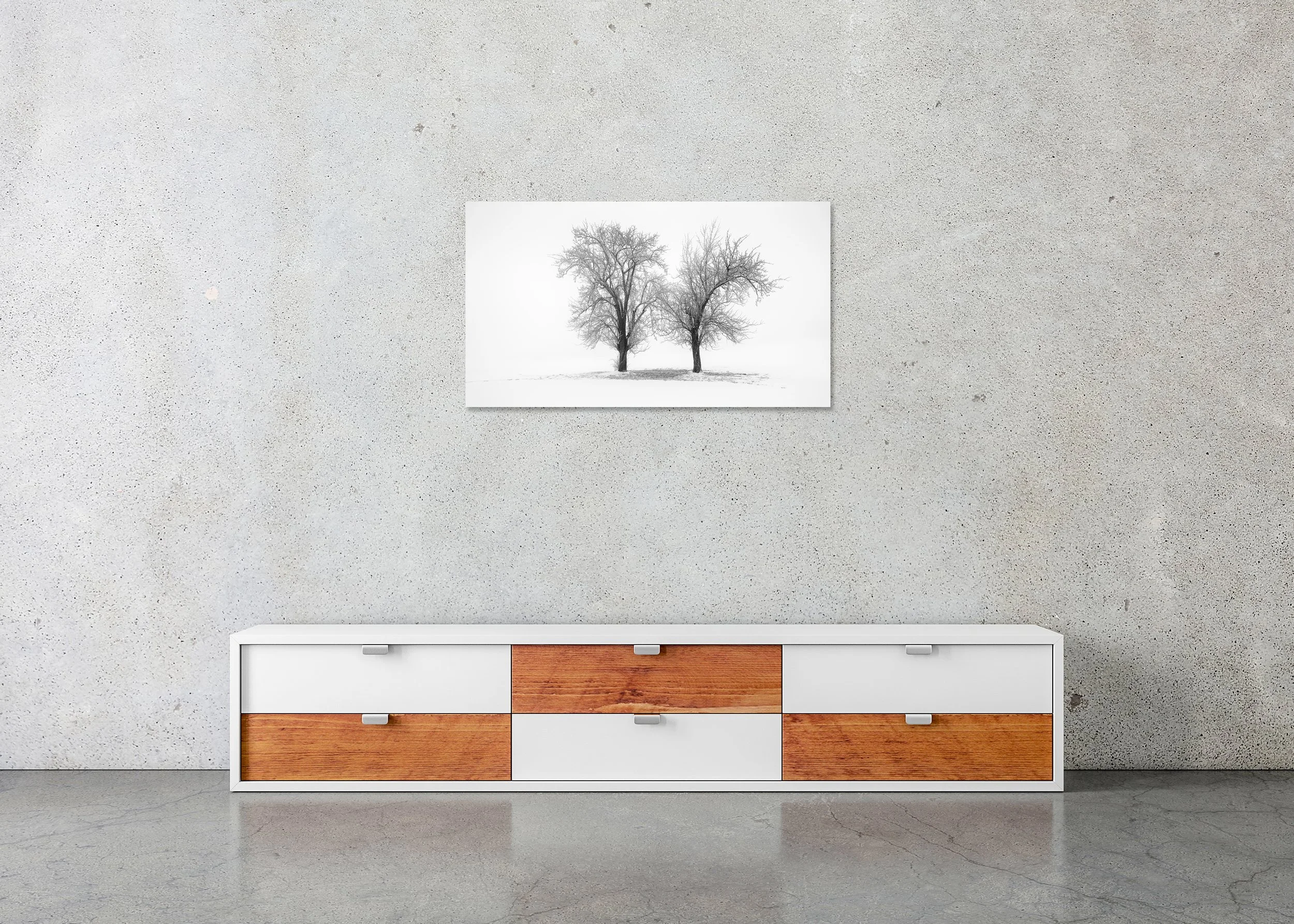Still Winter Morning Study 1 displayed in a modern interior as a frameless black-and-white aluminium Dibond print by Gerald Berghammer.