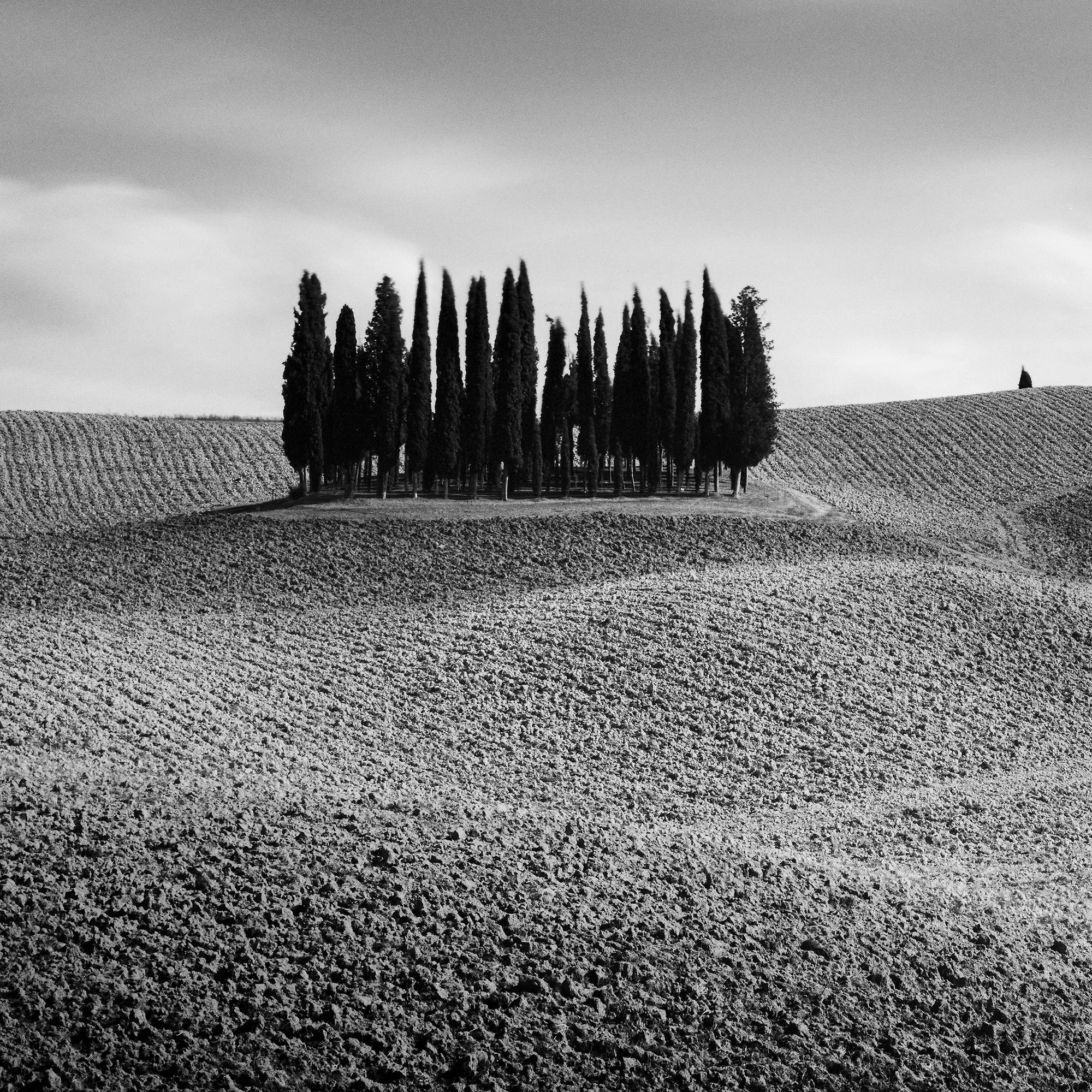 © 2020 Gerald Berghammer - Black and white Tuscan landscape photography. Rolling hills with two clusters of tall, thin trees in the distance, under a cloudy sky. Print detail 3