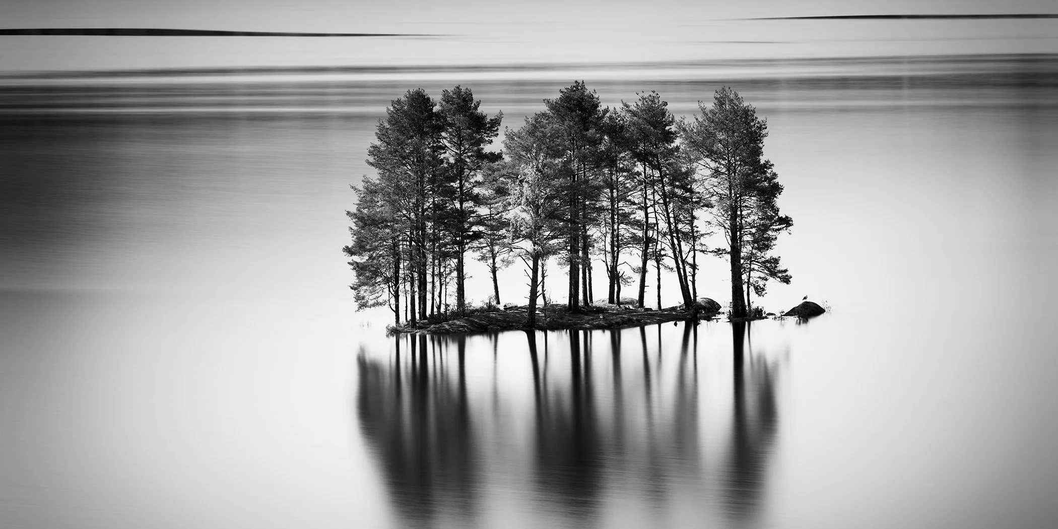 Minimalist black and white landscape showing pine trees on a tiny island in a quiet lake