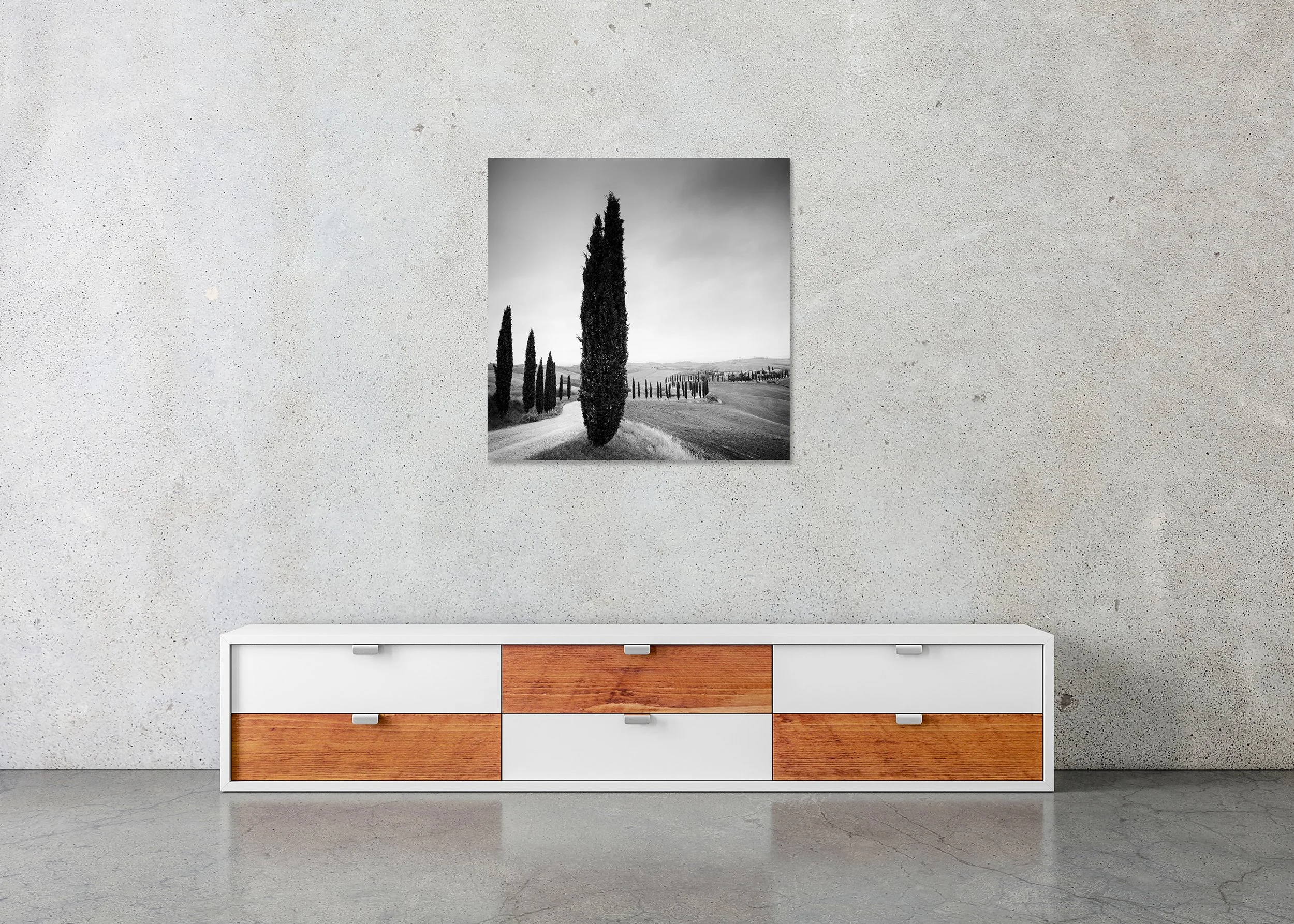 Monochrome countryside print with cypress trees, fields and a curving lane, mounted to Dibond, frameless