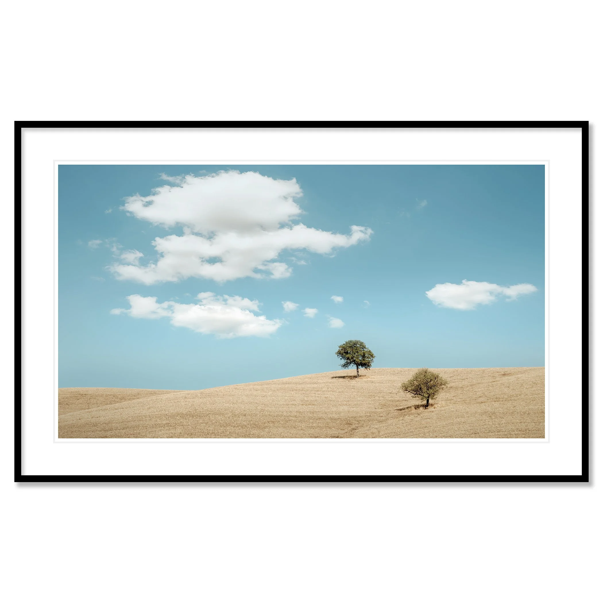Rolling Hills with Trees – Tuscany fine art print in a black aluminium frame with white mount