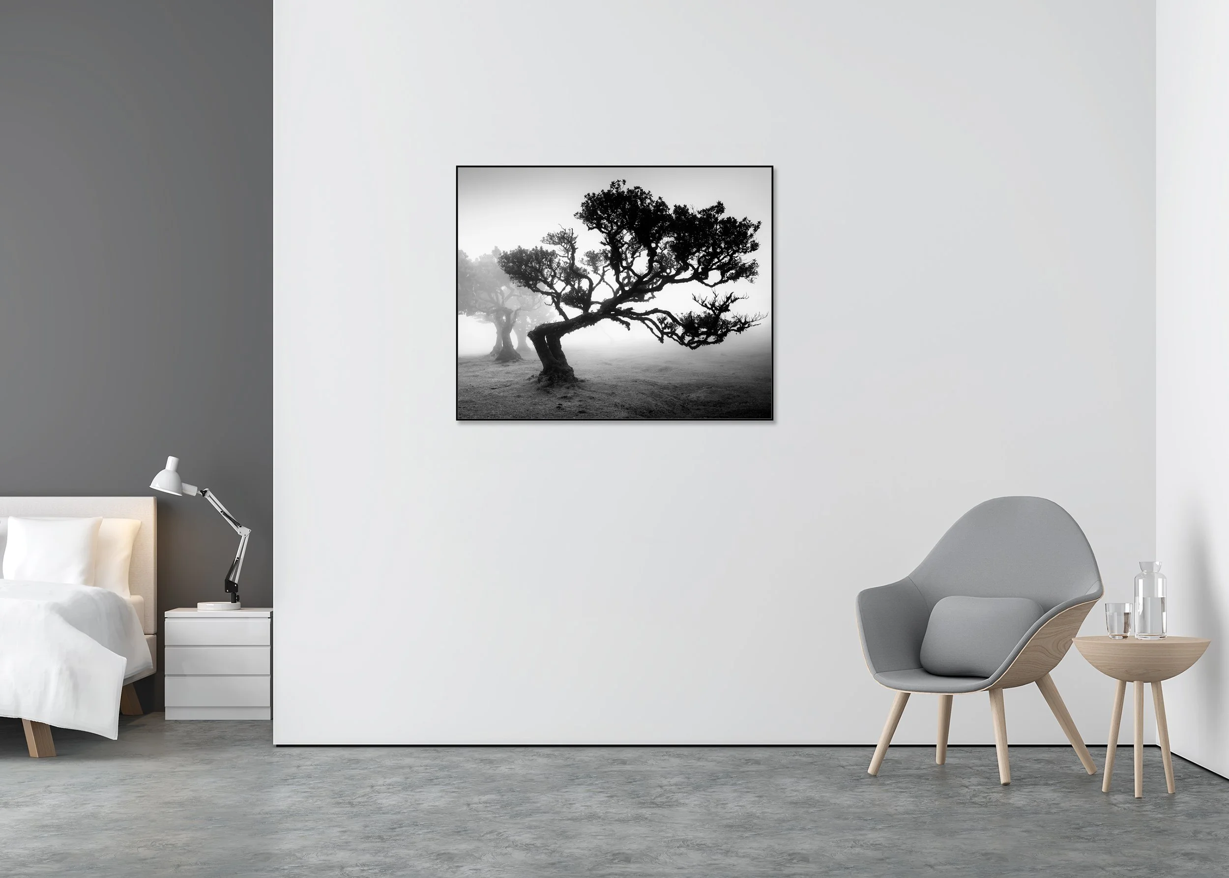 Ancient Laurisilva Forest Study 1, black-and-white fine art photograph of ancient laurel trees in dense mist in Fanal Forest, Madeira. Photo by Gerald Berghammer.