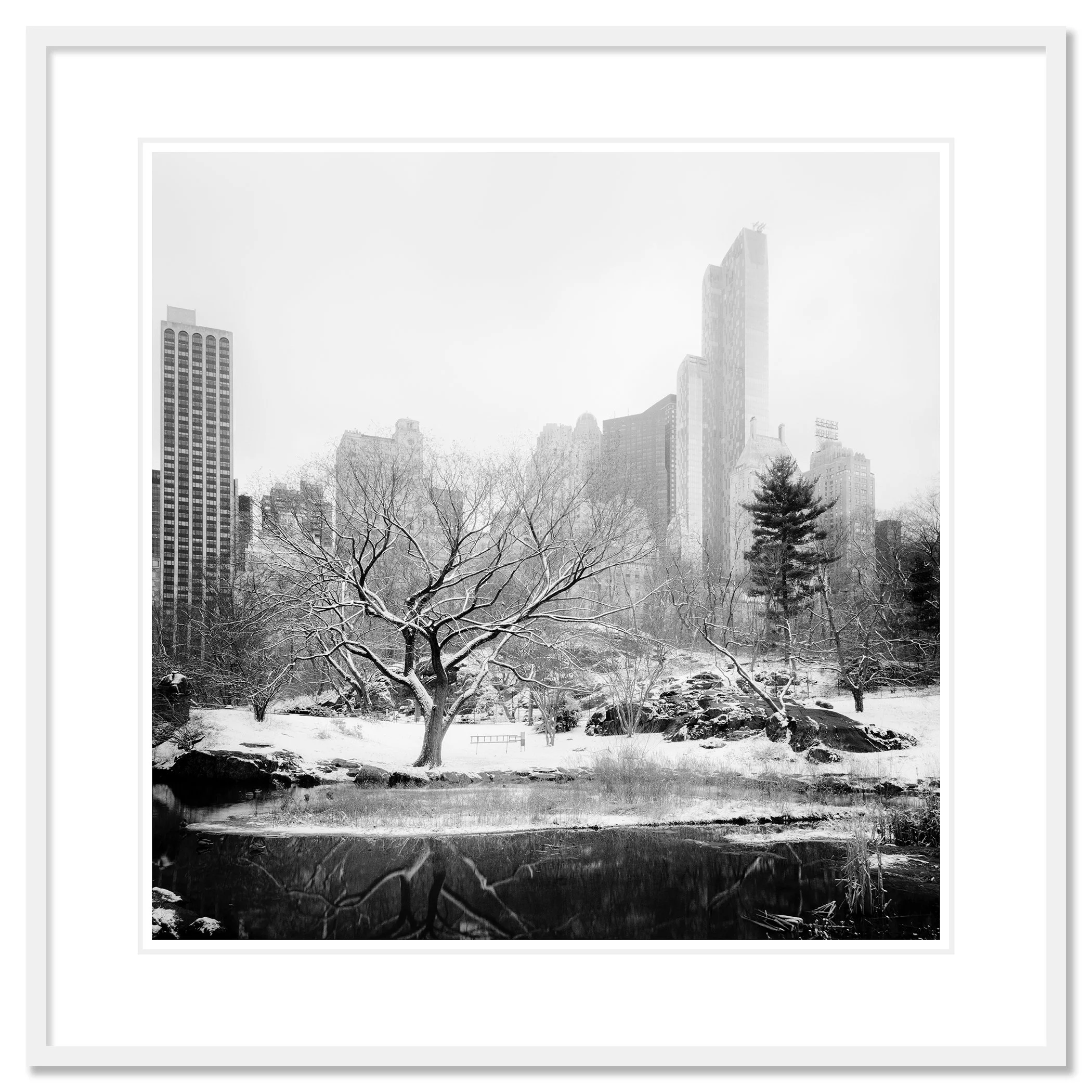 Snow-Covered Central Park Study 7 by Gerald Berghammer, black-and-white fine art print in a white aluminium frame with white mount.