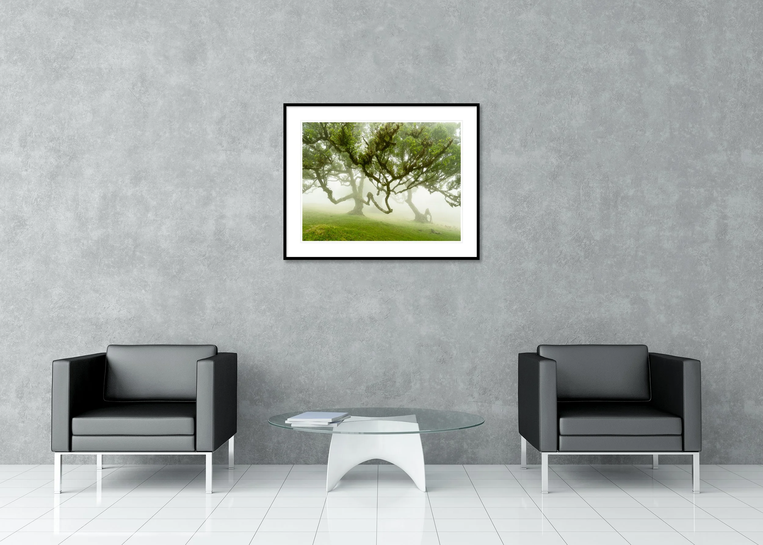 Classic passepartout framed image by Gerald Berghammer depicting an enchanted fairy forest with ancient, moss-covered trees and twisted branches emerging from soft mist in a lush green woodland.