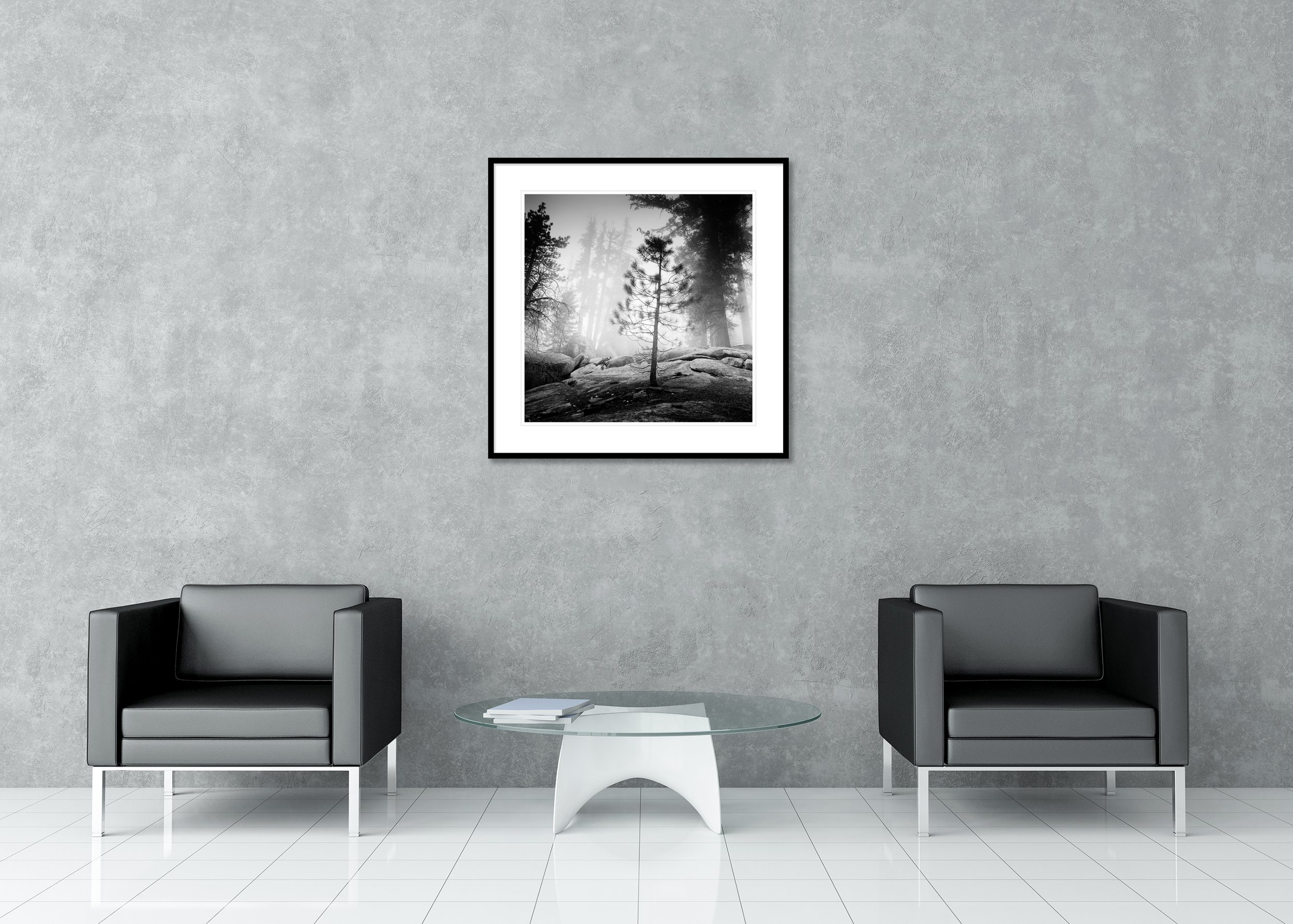Into the Wild displayed in a modern interior as an archival pigment print in an aluminium frame with white mount by Gerald Berghammer.