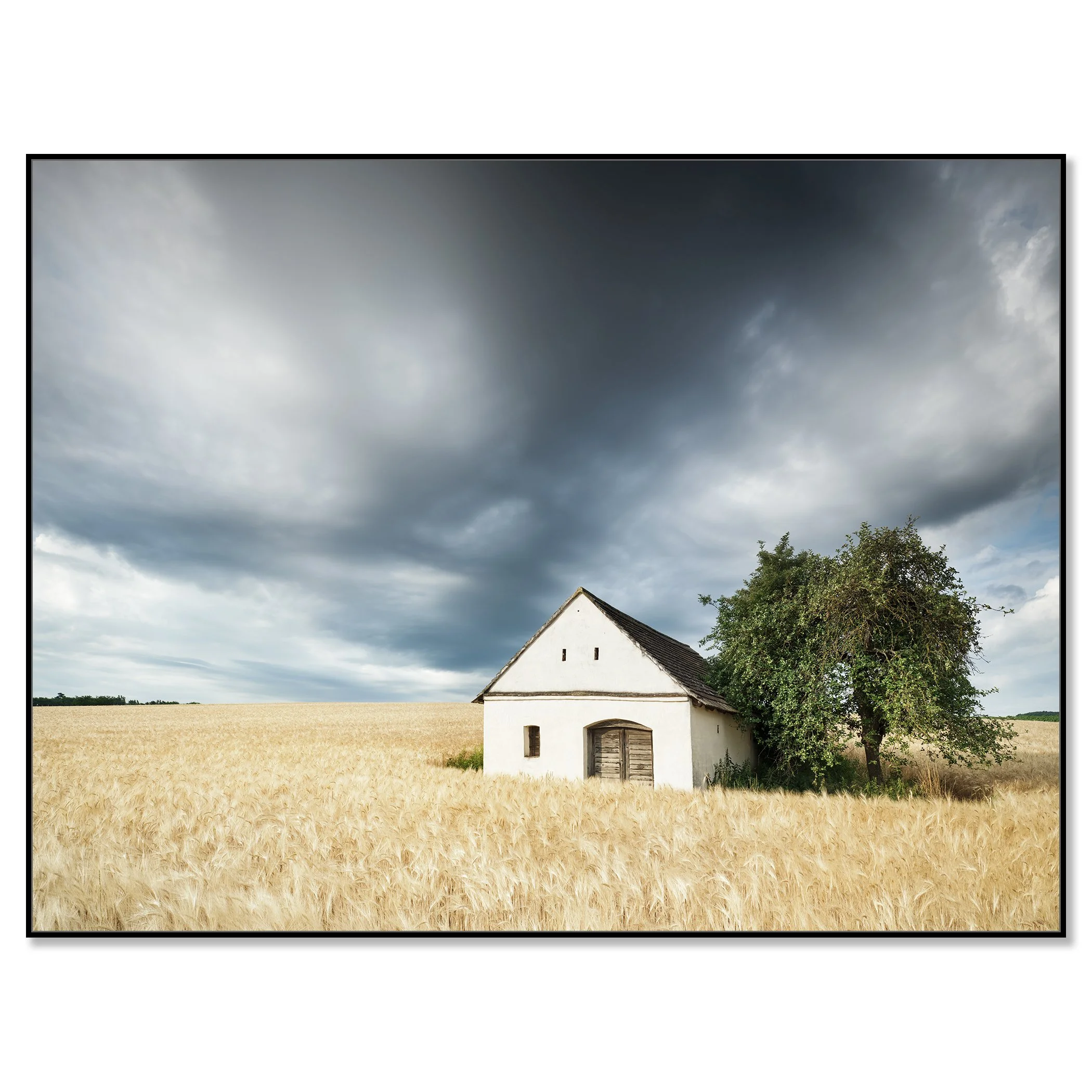 Small white wine press house in a golden wheat field under dramatic storm clouds – framed ArtBox black
