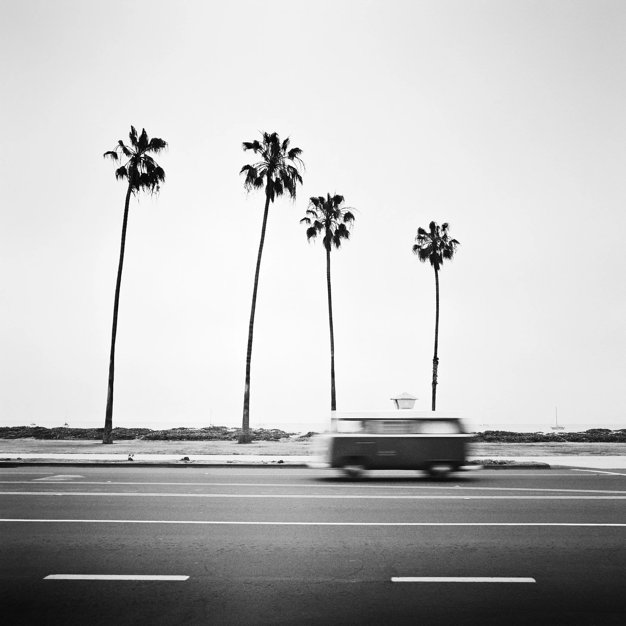 Black-and-white photo of a blurred vintage VW bus on a coastal road in Santa Barbara, lined with tall palm trees.