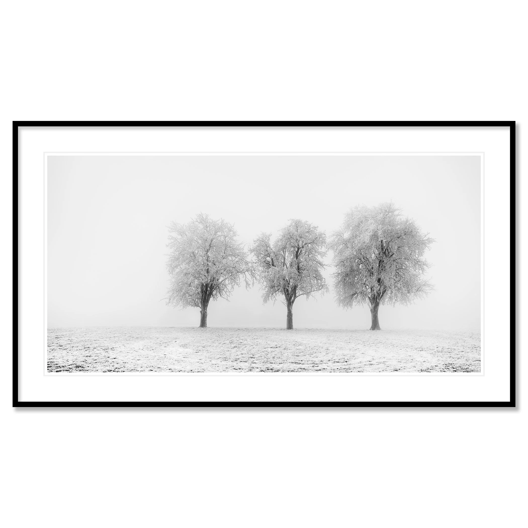 Frozen Apple Trees Panorama Study 2 as an archival pigment print in a black aluminium frame with a white mount by Gerald Berghammer.
