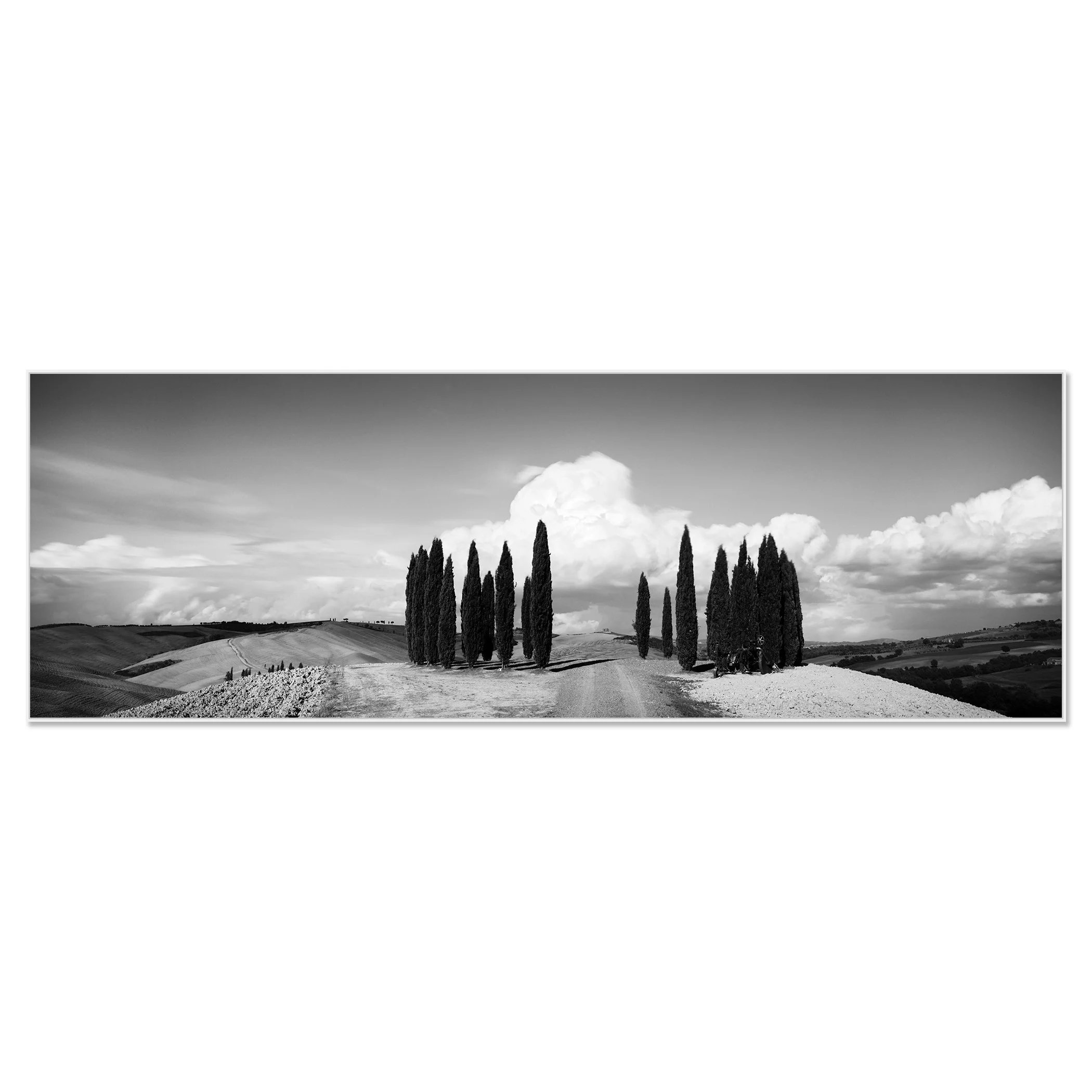 Circle of Cypress Trees Study 1 by Gerald Berghammer shown as a black-and-white Dibond print in a white aluminium ArtBox frame.