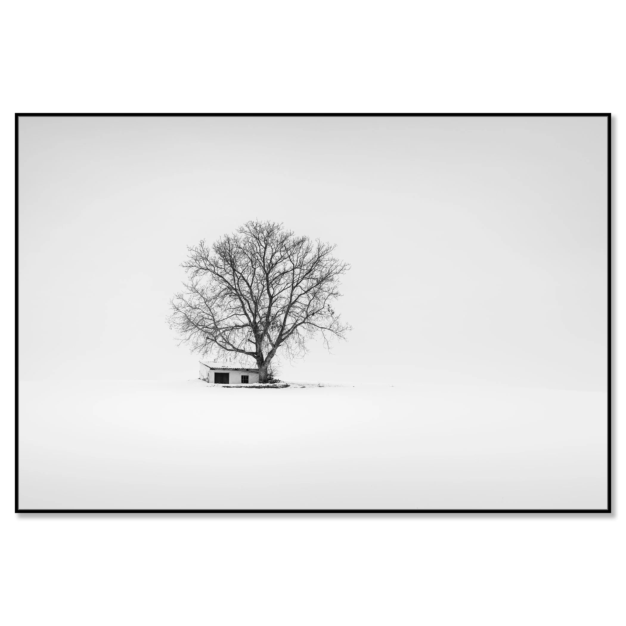 Wine Press House Winter Study 2 mounted on aluminium Dibond in a black ArtBox frame by Gerald Berghammer.
