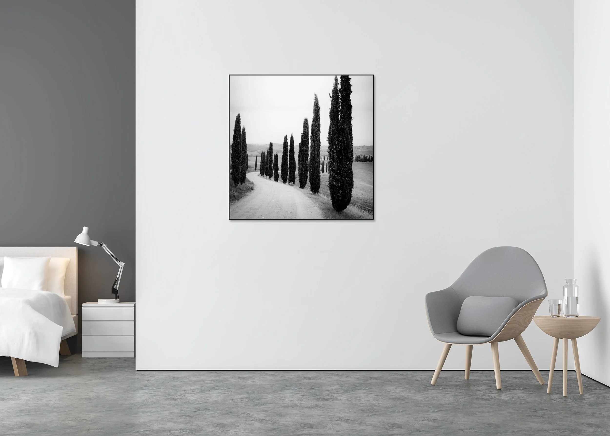 Cypress Trees Along the Road Study 2 displayed in a modern interior, mounted on aluminium Dibond in a black ArtBox frame by Gerald Berghammer.