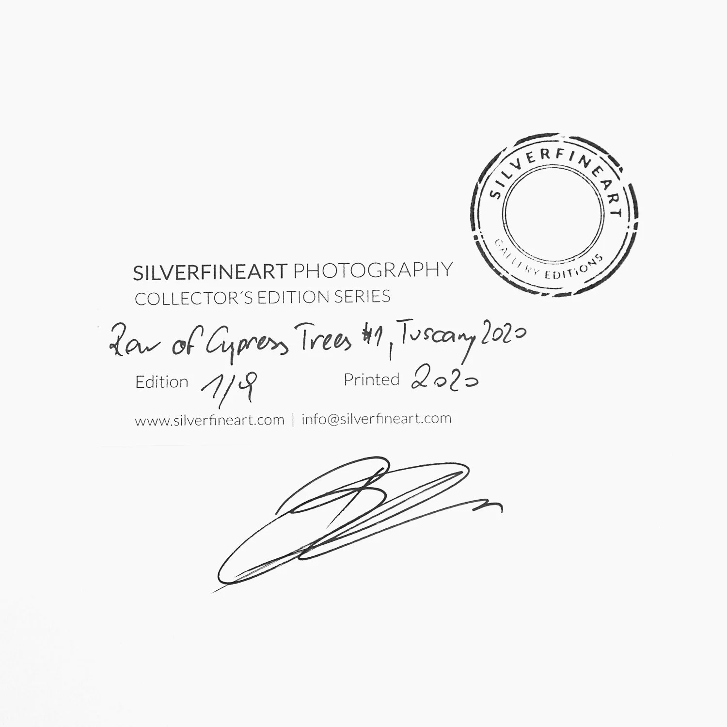 Artist's signature, title, stamp and edition number 1/9 on the reverse of Row of Cypress Trees 1 by Gerald Berghammer.
