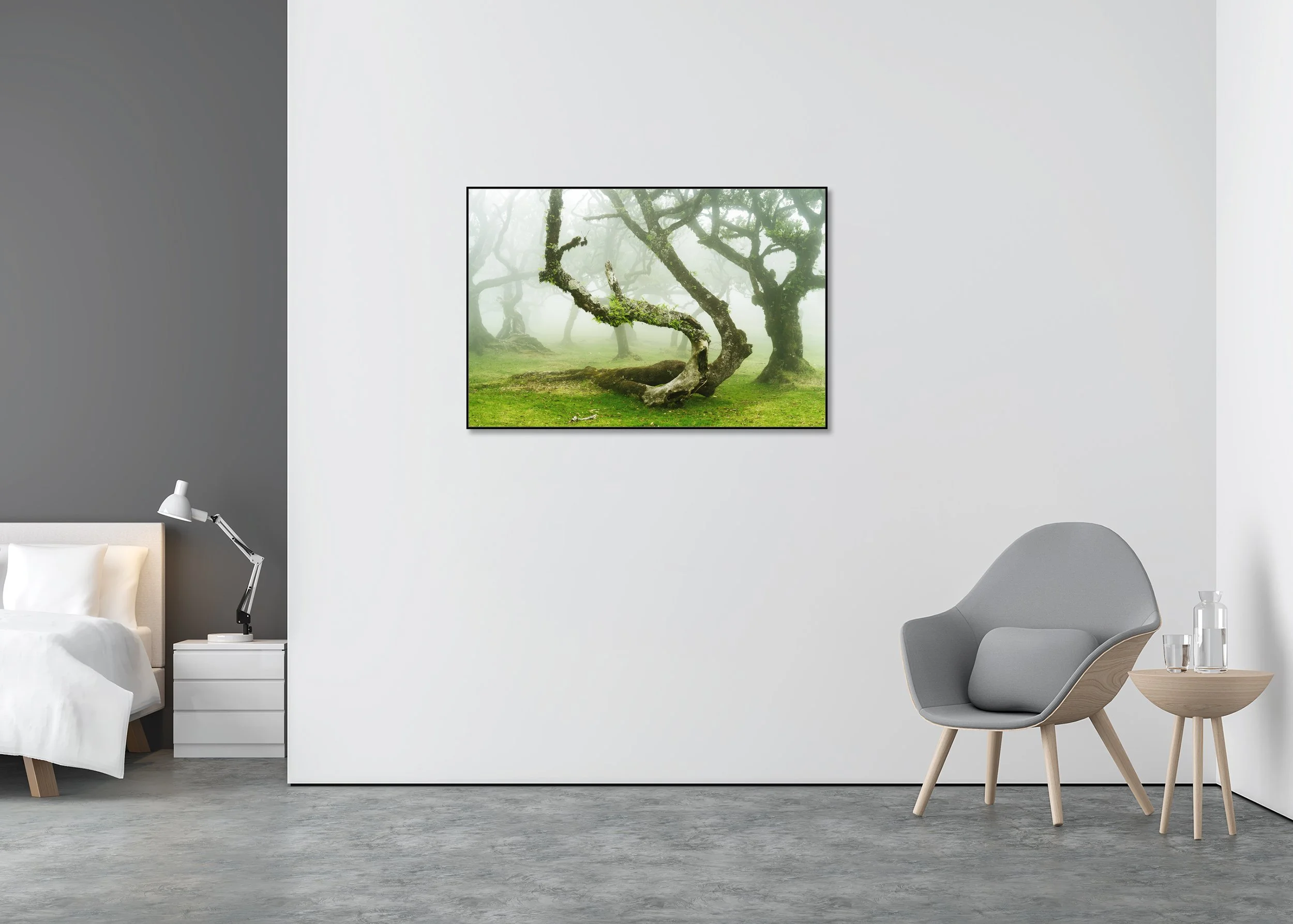 Mystical Twisted Laurel Trees Study 1 displayed in a modern interior, presented in an aluminium ArtBox frame by Gerald Berghammer.