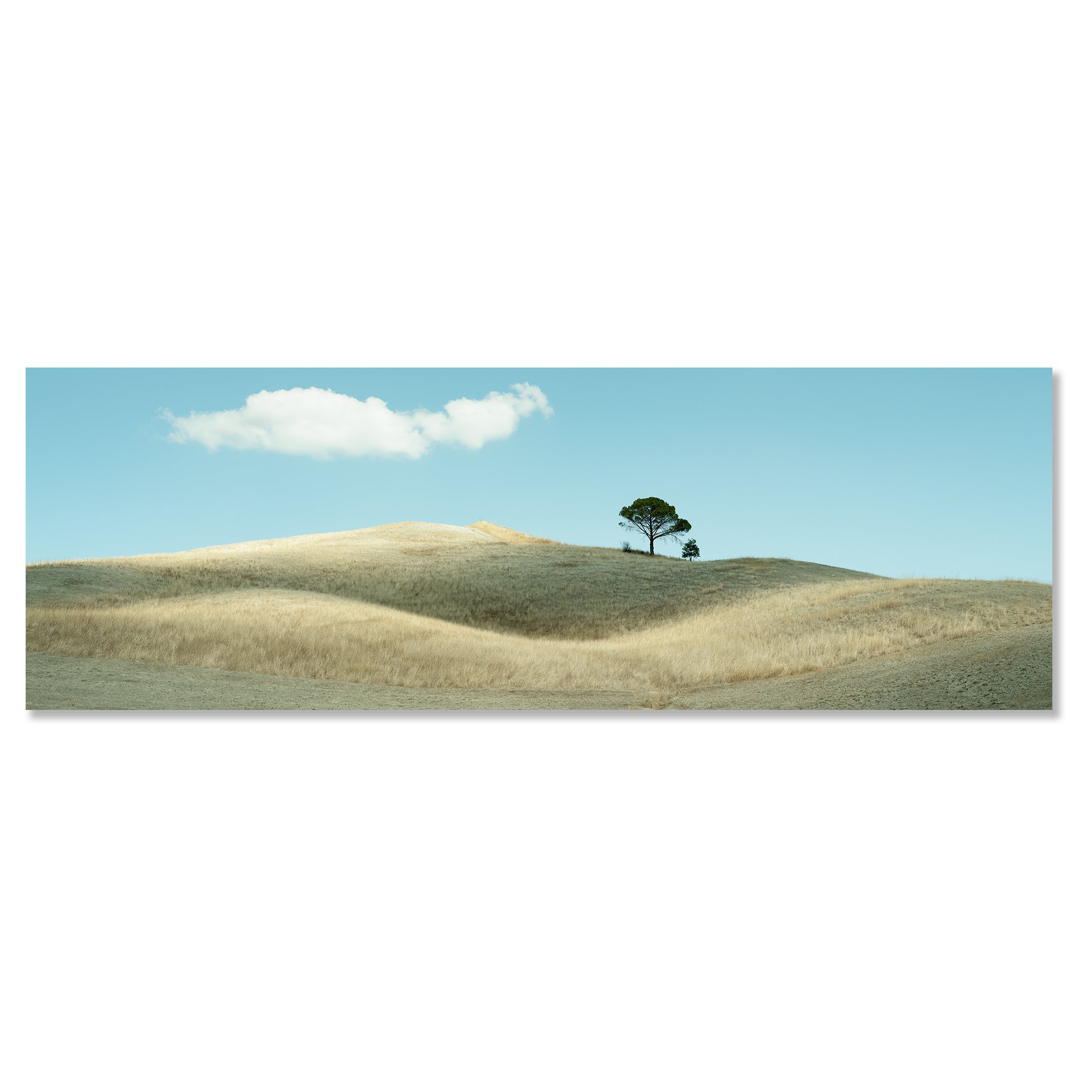 © 2021 Gerald Berghammer - Color Tuscany landscape photography. Landscape with rolling hills, a single tree, a huge cloud, and a field of dry grass. Chromaluxe frameless