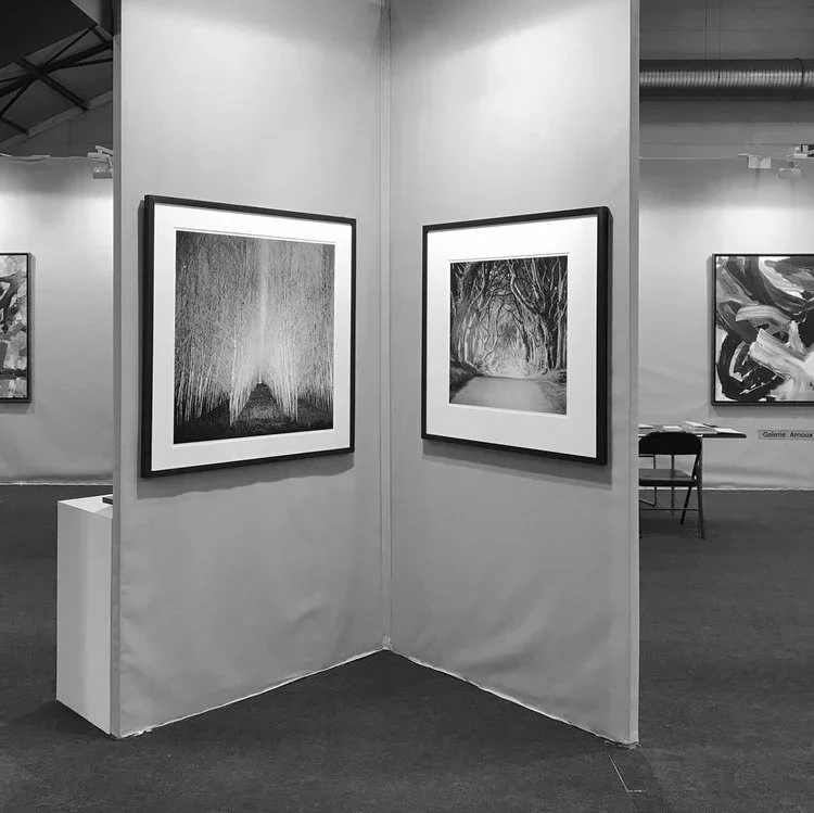 Two framed black-and-white woodland photographs by Gerald Berghammer displayed side by side at Galerie Arnoux during ST-ART Strasbourg 2017.