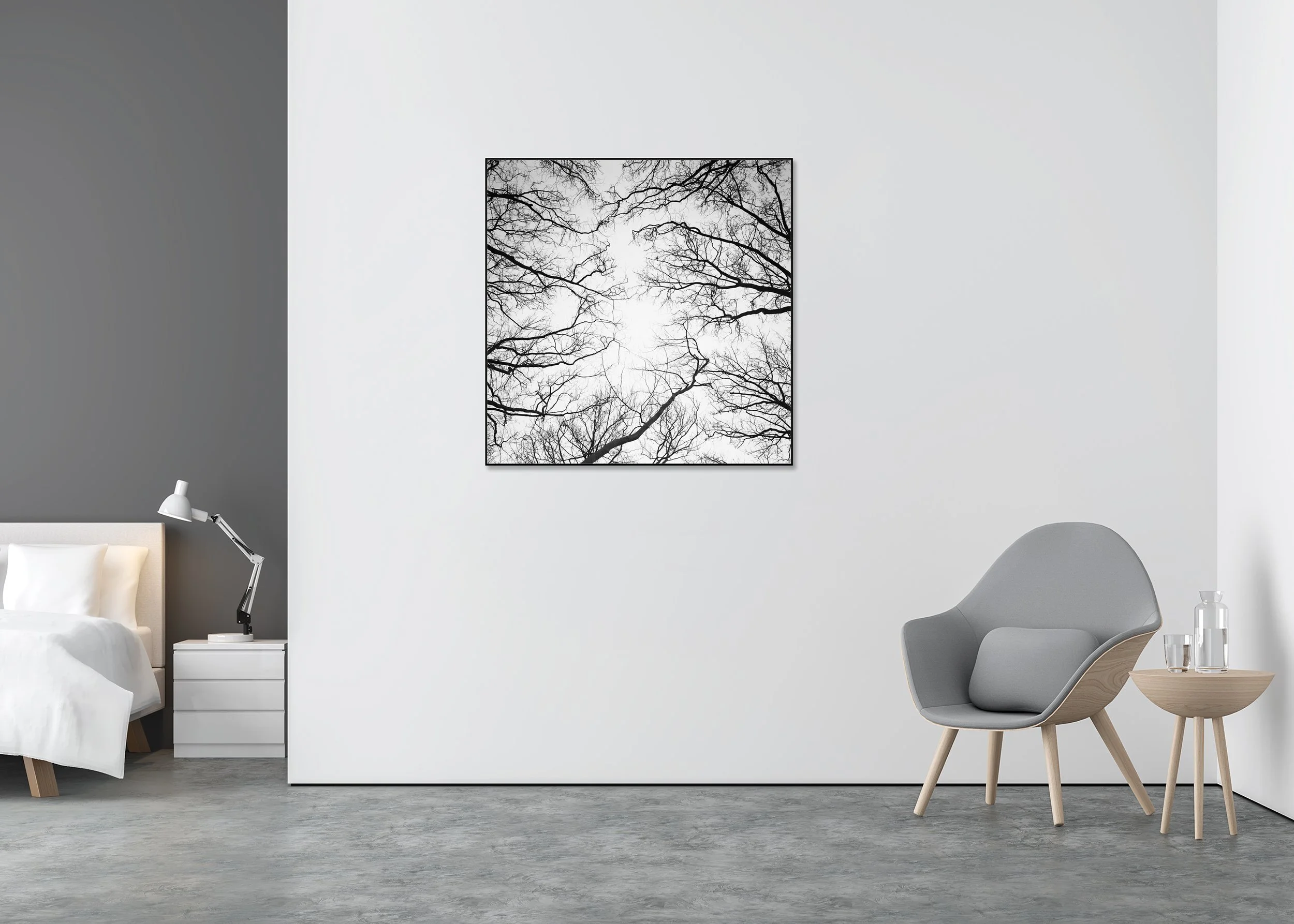 Gerald Berghammer - Chestnut Trees, minimalist landscape, Versailles Park, Paris, ChromaLuxe print, aluminium art box