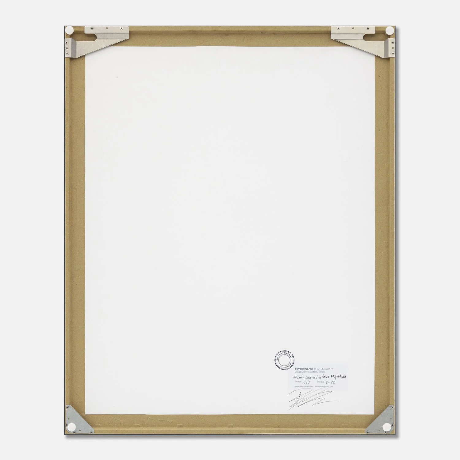 Reverse of the framed Ancient Laurisilva Forest Study 10 by Gerald Berghammer, showing the wooden frame, edition label and artist's signature.  Kopieren