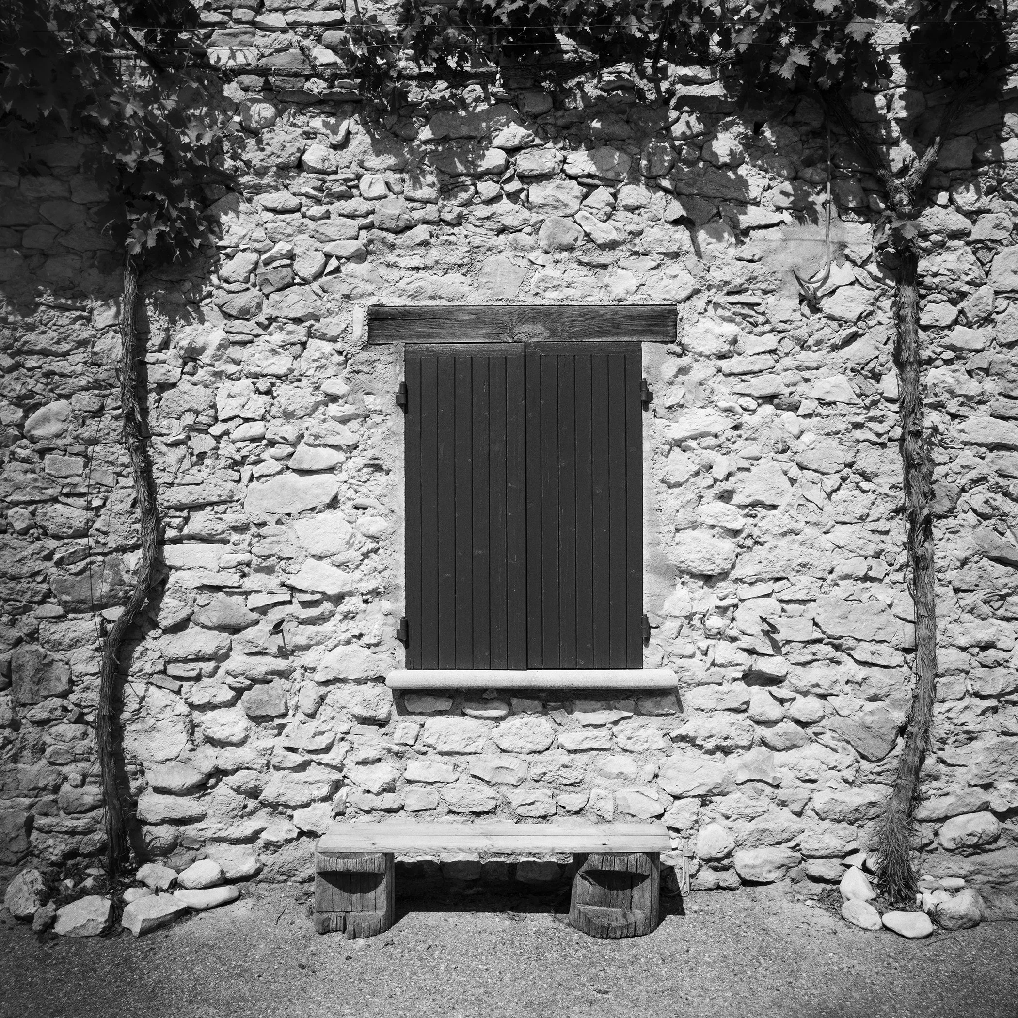 Gerald Berghammer - Black & white photography. Stone wall with a closed wooden window shutter, flanked by climbing vines on both sides, and a small bench.