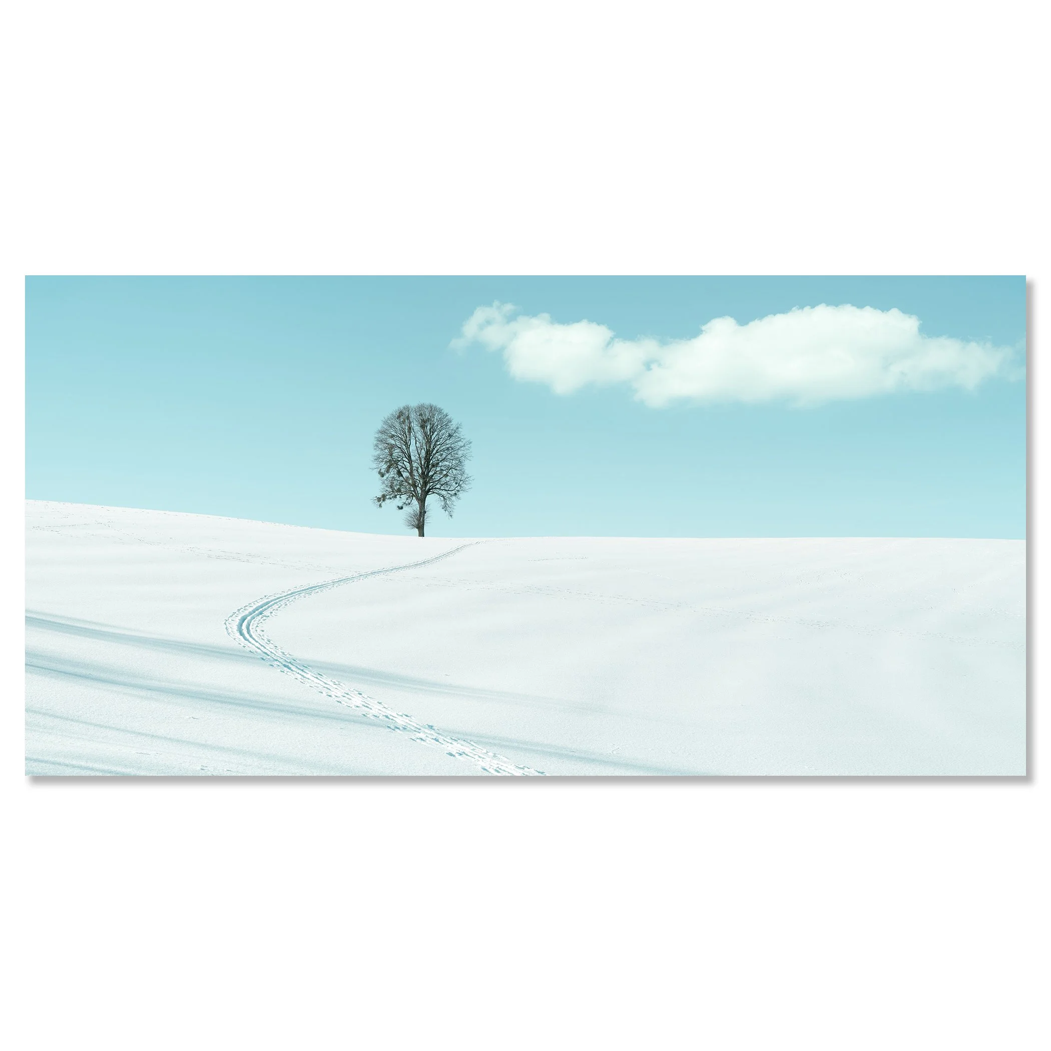 Winter Path to the Lone Tree – Austria, colour photo print mounted to frameless aluminium Dibond.