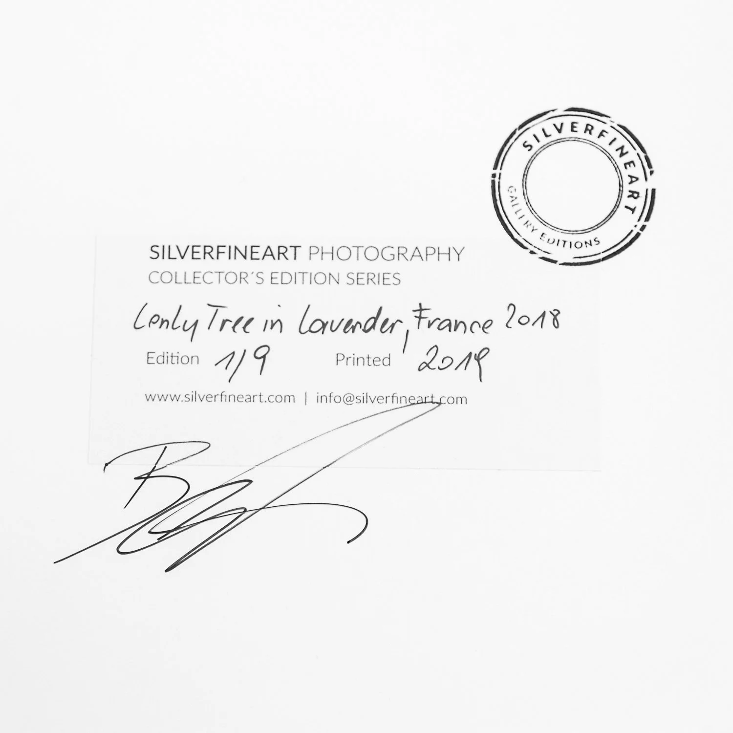 Signed edition label for Lonely Tree in Lavender by Gerald Berghammer, photographed in 2018, printed in 2019, edition 1/9.