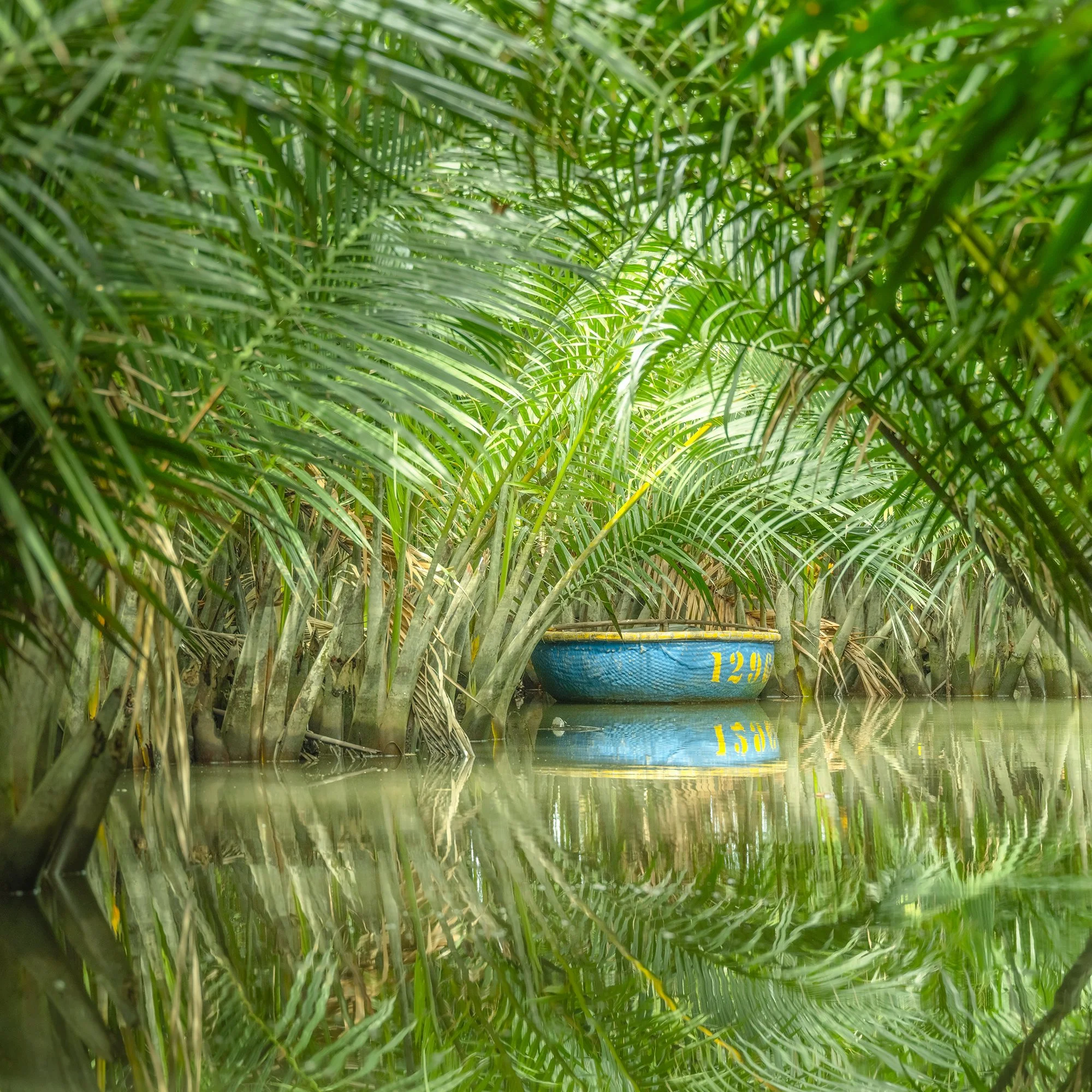 © 2025 Gerald Berghammer - Color waterscape photography. A small coconut boat among dense green nipa palm trees on a calm water body, with its reflection visible. Print detail 1