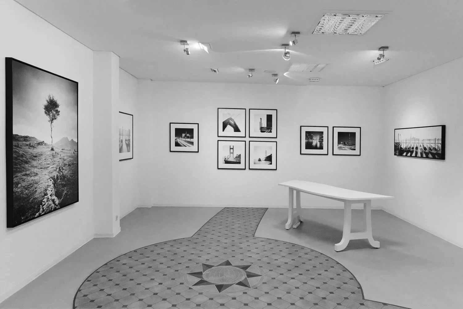ESSENTIAL LIGHT 2018 exhibition at Galerie STP in Greifswald, featuring a large solitary tree photograph and framed coastal works by Gerald Berghammer.