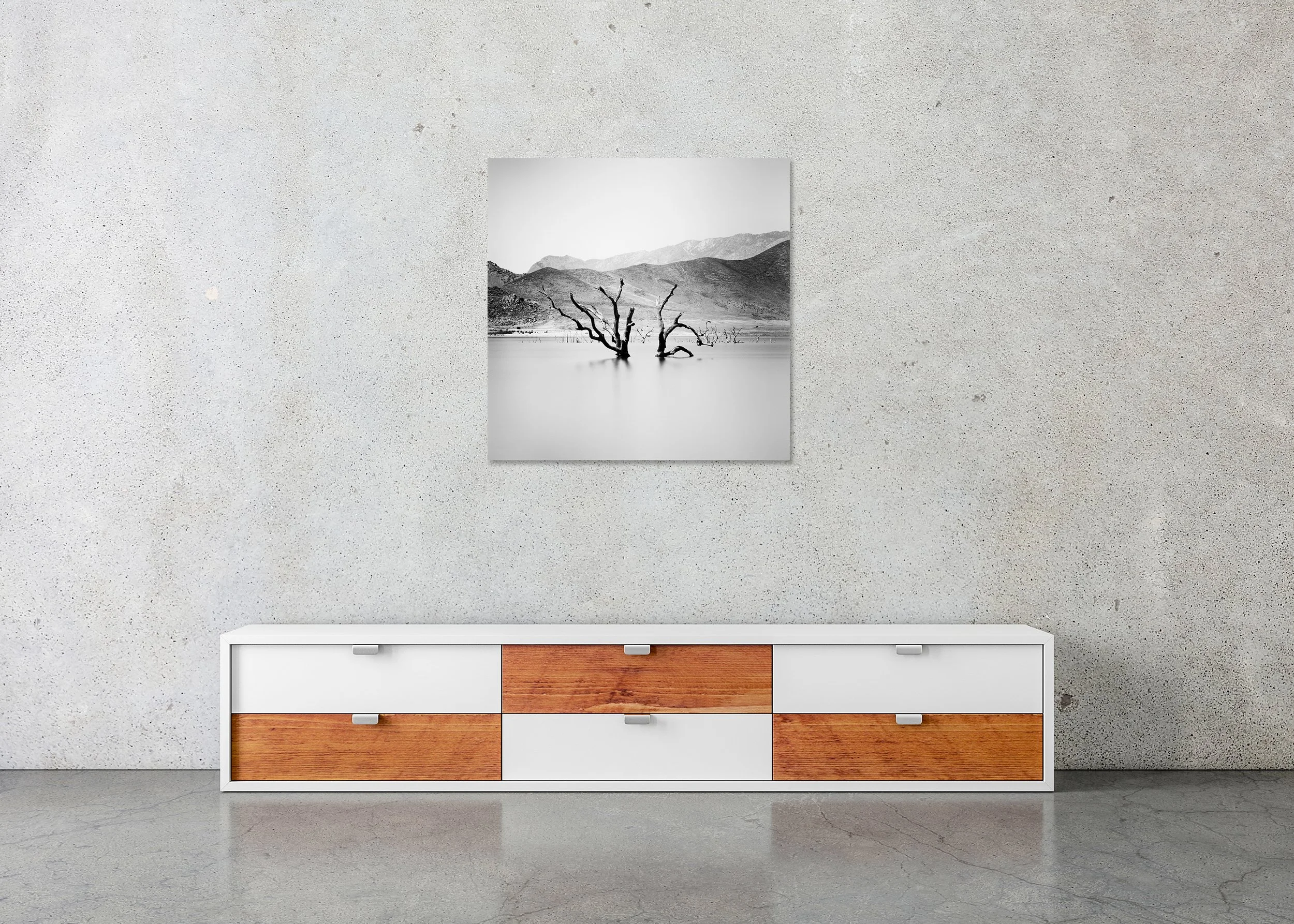 Minimalist black-and-white landscape photo of dead tree trunks in calm water with layered mountains, photo print mounted to Dibond, frameless.