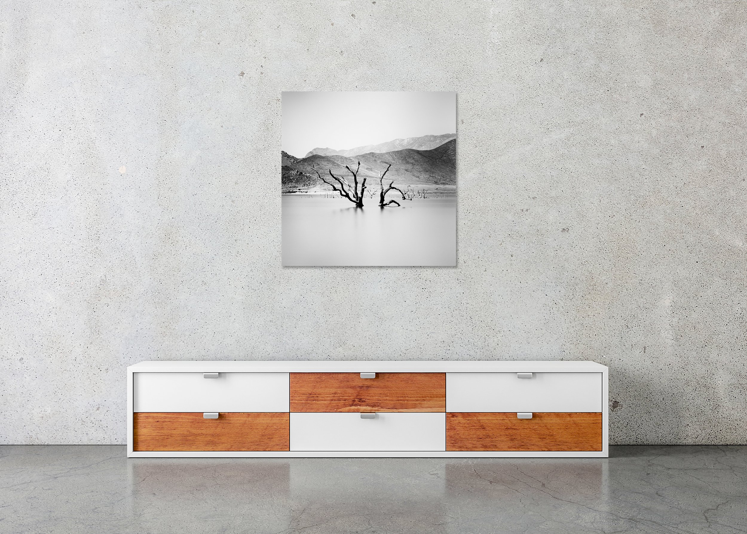 Frameless Chromaluxe image by Gerald Berghammer showing dead trees emerging from still water in a minimalist black and white landscape