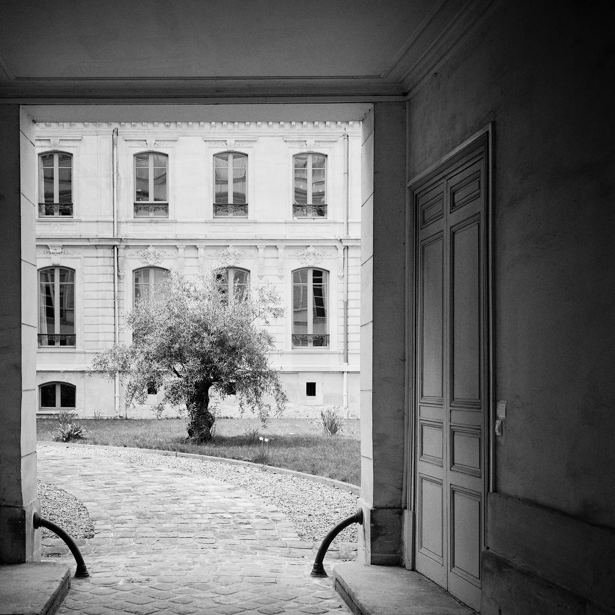 Detail of the architectural framing in Tree in the Courtyard, Paris, by Gerald Berghammer.
