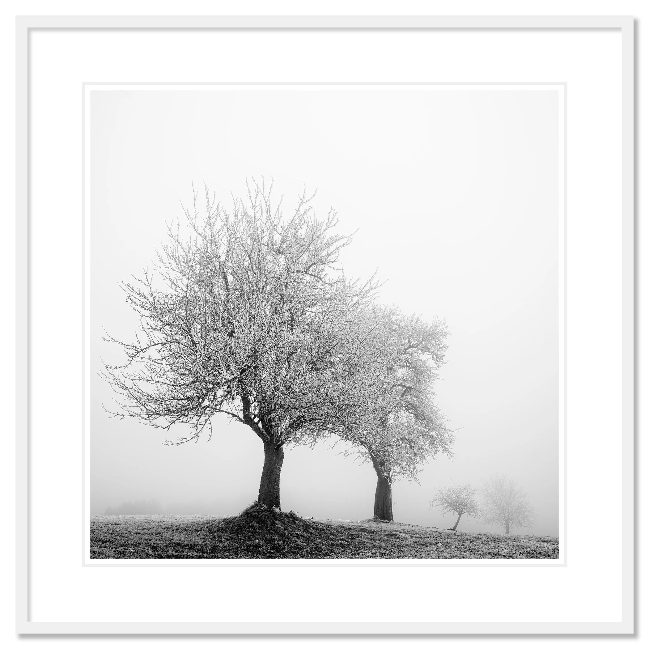 Frozen Landscape Study 1, black-and-white winter print in a white frame with white mount by Gerald Berghammer.