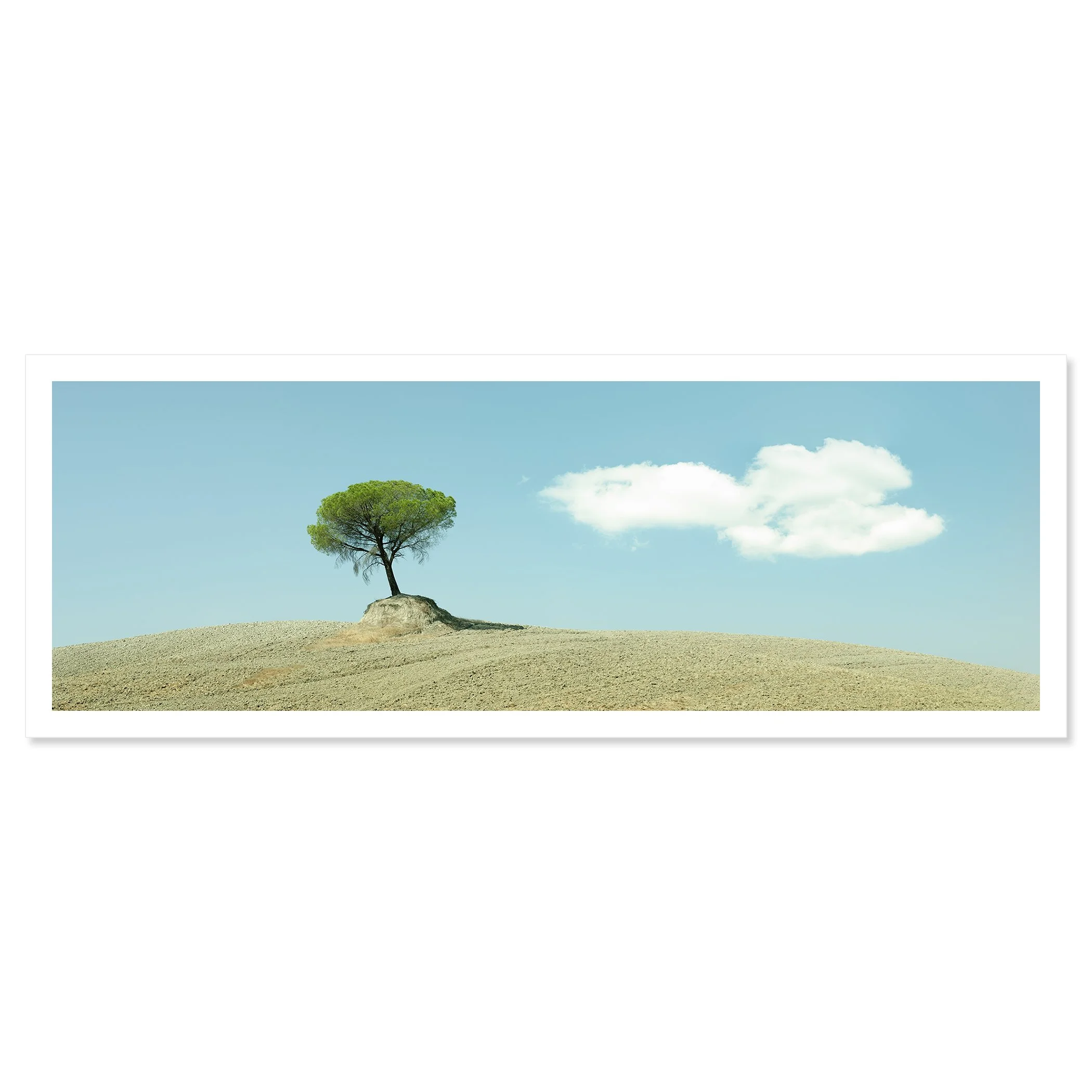 © 2021 Gerald Berghammer - Color minimalist Tuscany photo. Single tree growing on a small mound in a barren landscape under a blue sky with a few white clouds. Fine art print only