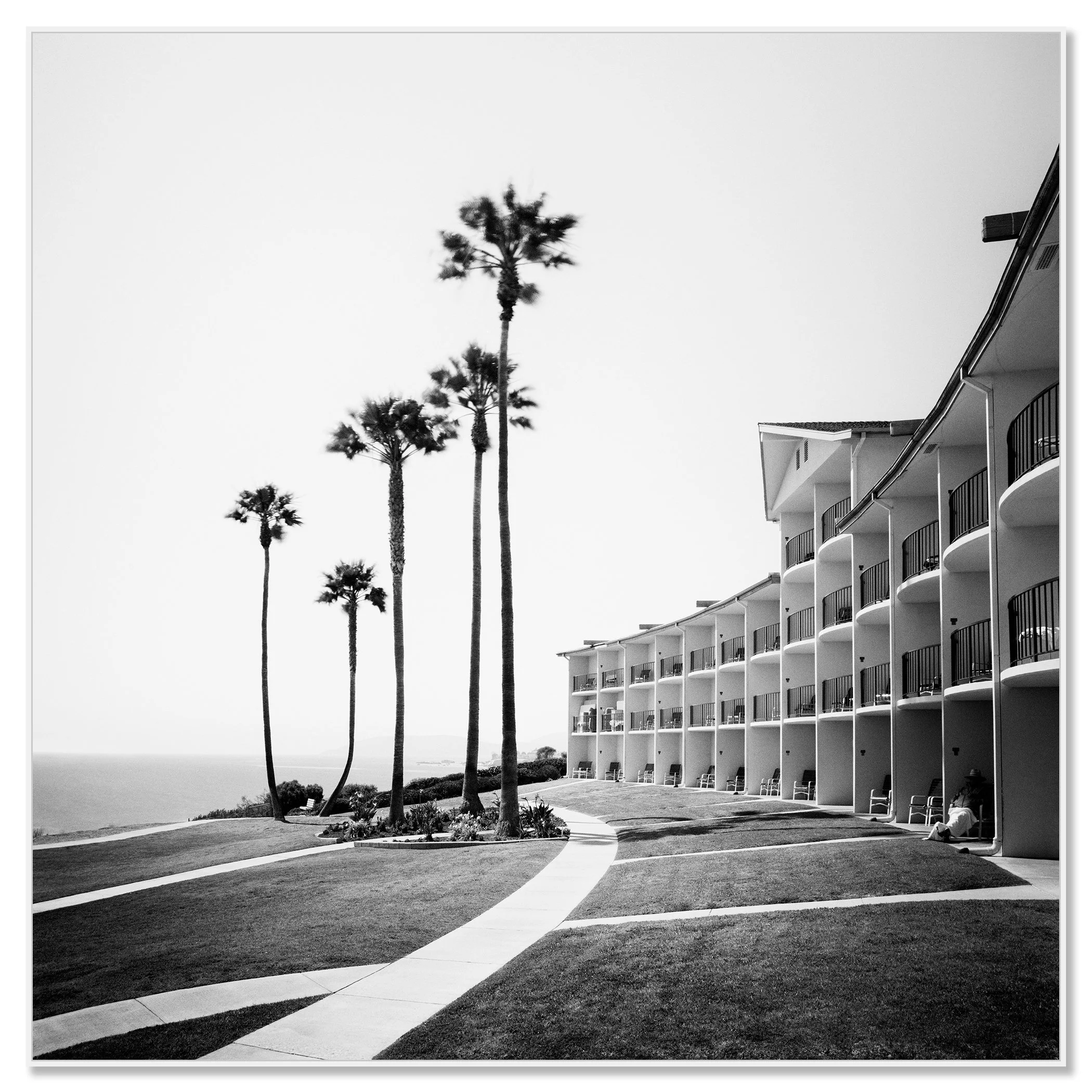 Gerald Berghammer - Black and white landscape photography. Seaside hotel with multiple balconies, a curved walkway, and tall palm trees near the ocean. Chromaluxe framed white