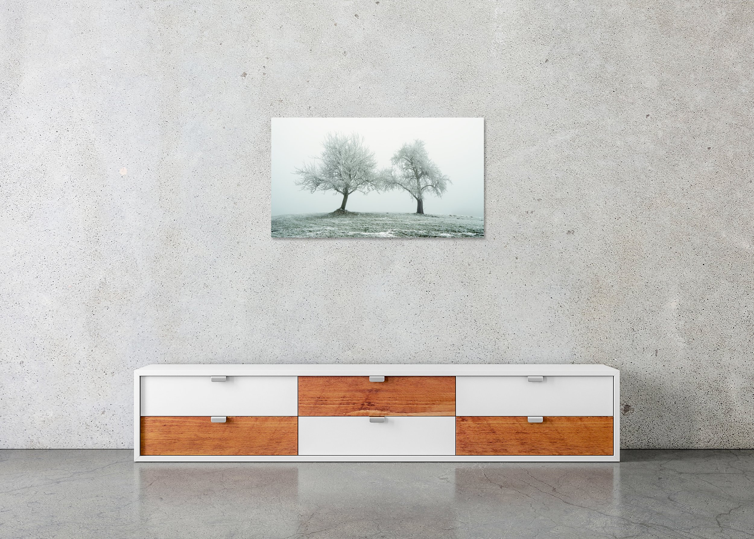 Frozen winter trees in a snow-dusted field, photo print mounted to Dibond, frameless.