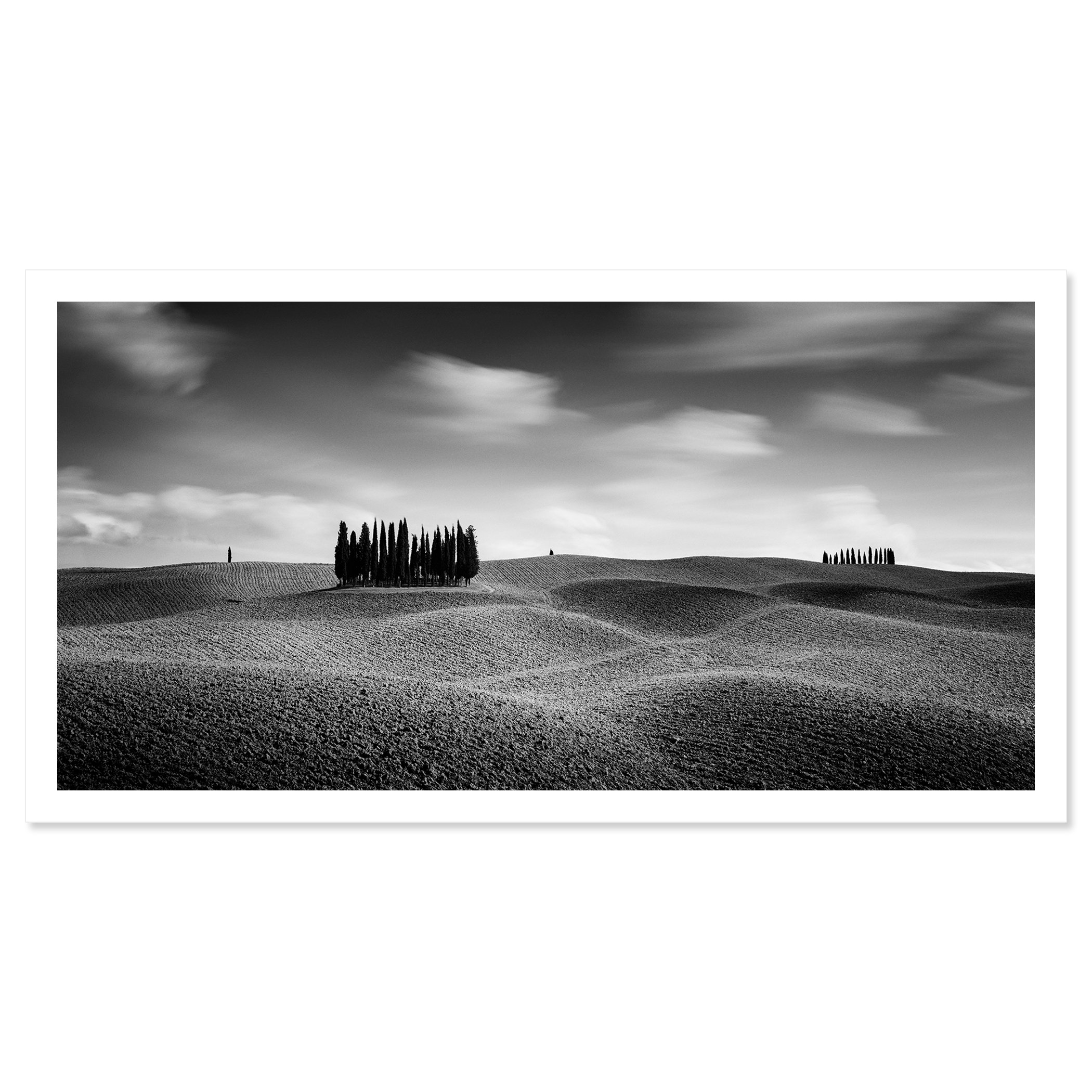 © 2020 Gerald Berghammer - Black and white Tuscan landscape photography. Rolling hills with two clusters of tall, thin trees in the distance, under a cloudy sky. Fine art print only