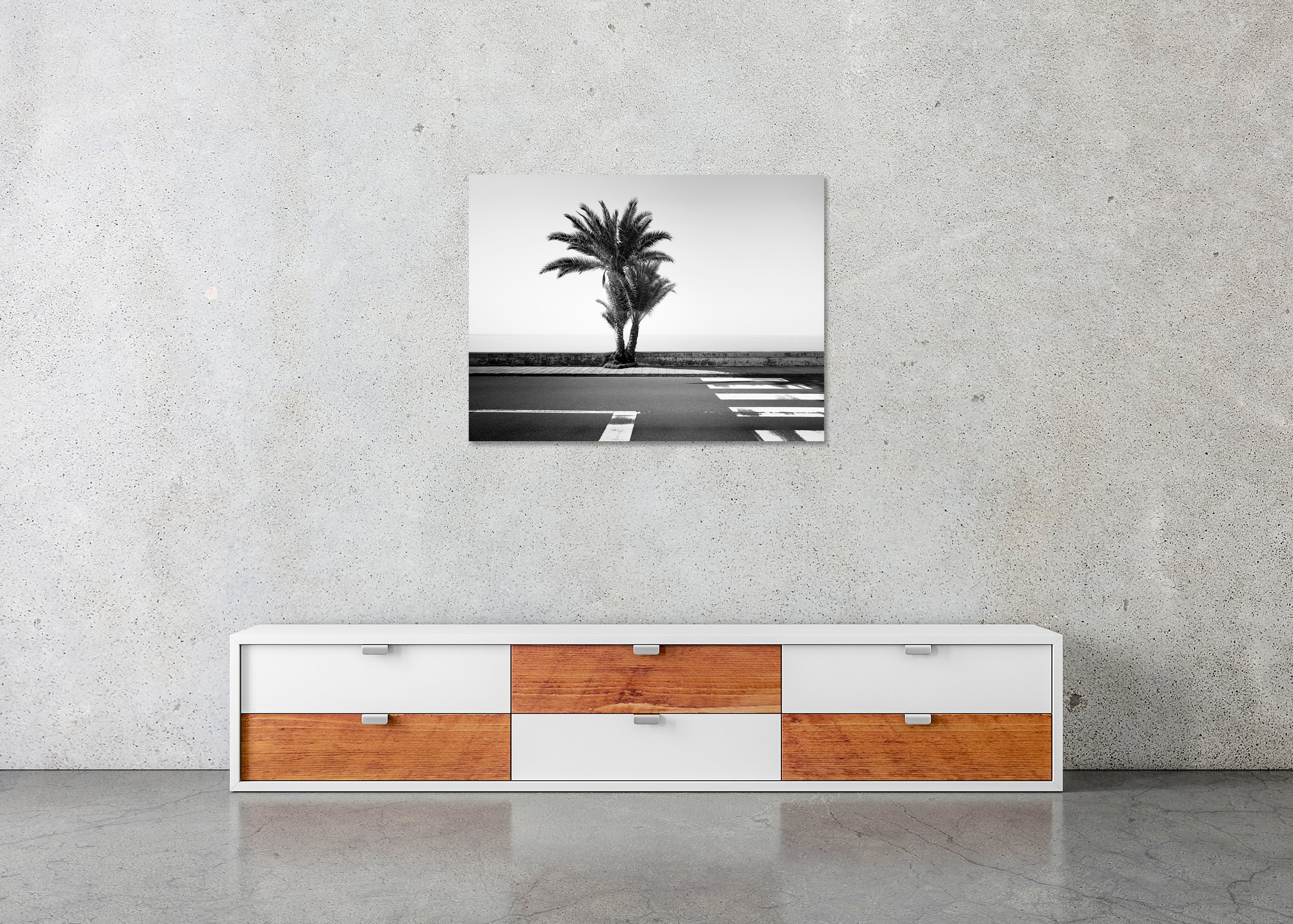Palm Trees on the Roadside Study 1 – Madeira, black-and-white photo print mounted on frameless Dibond