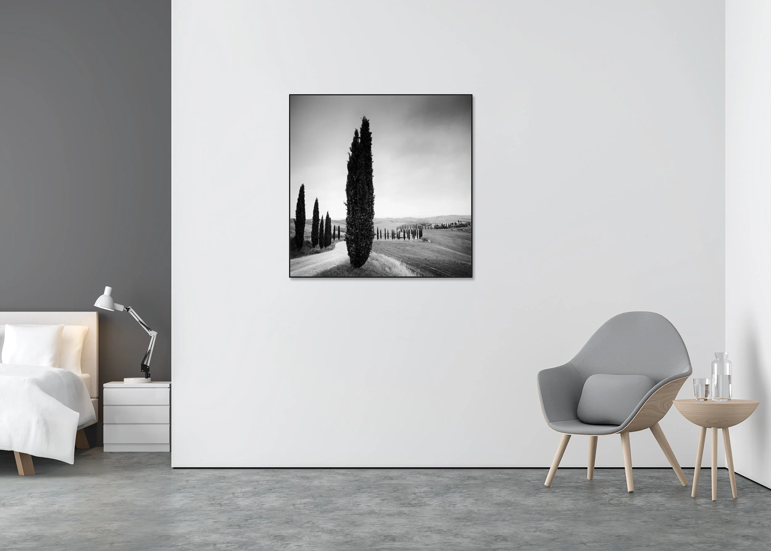 Monochrome countryside photo print with cypress trees, fields and a curving lane, mounted to Dibond in an aluminium ArtBox frame