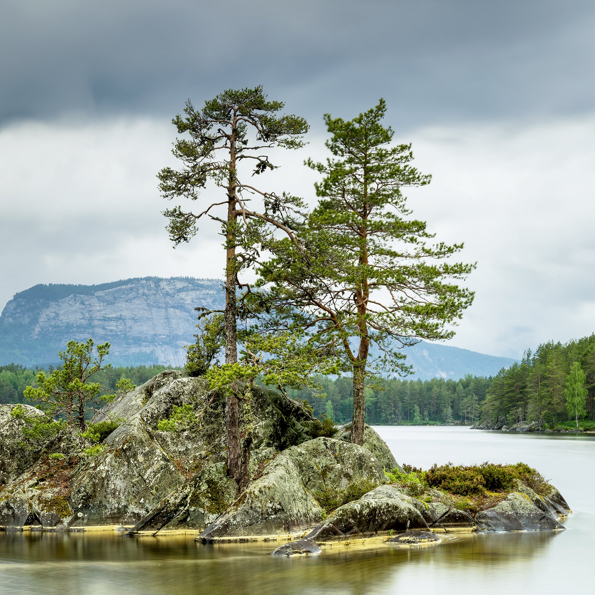 Gerald Berghammer - Color Photography. A small rocky island with tall pine trees surrounded by a calm lake under a cloudy sky and mountains behind. Print detail 3