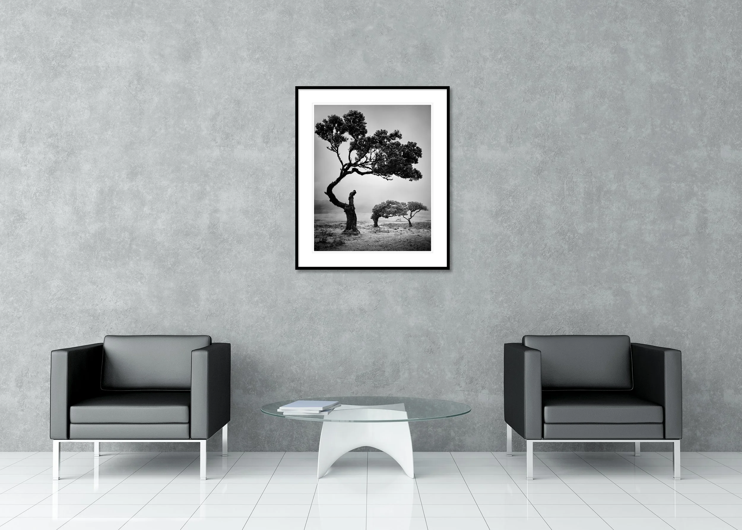 Black-and-white photo of wind-shaped trees on Madeira. Archival pigment print, classic frame with passe-partout.