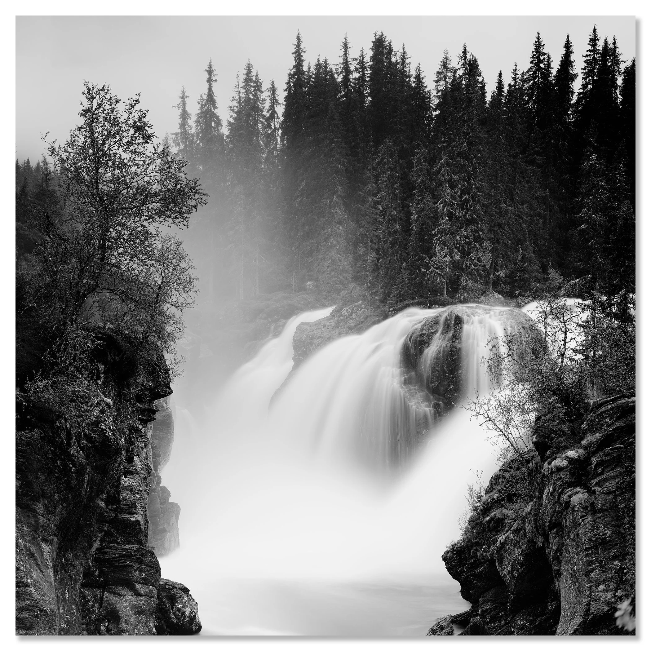 Black and white photo of a powerful waterfall flowing through a rocky forest gorge – dibond frameless