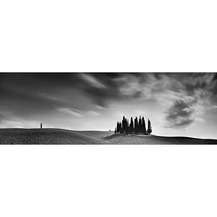 Cypress Hill Panorama Study 4 – Tuscany, Italy | Gerald Berghammer