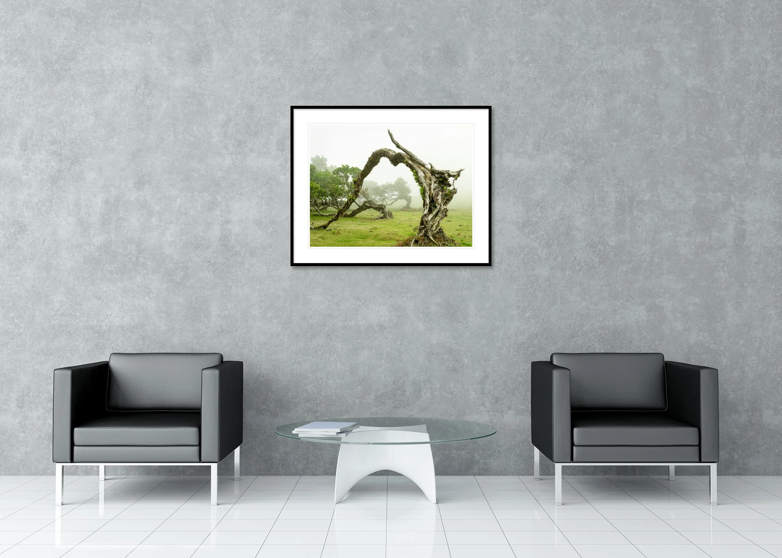 Twisted tree with an arched trunk in a misty green meadow, fog drifting among distant trees, archival pigment print in a classic frame with a mount