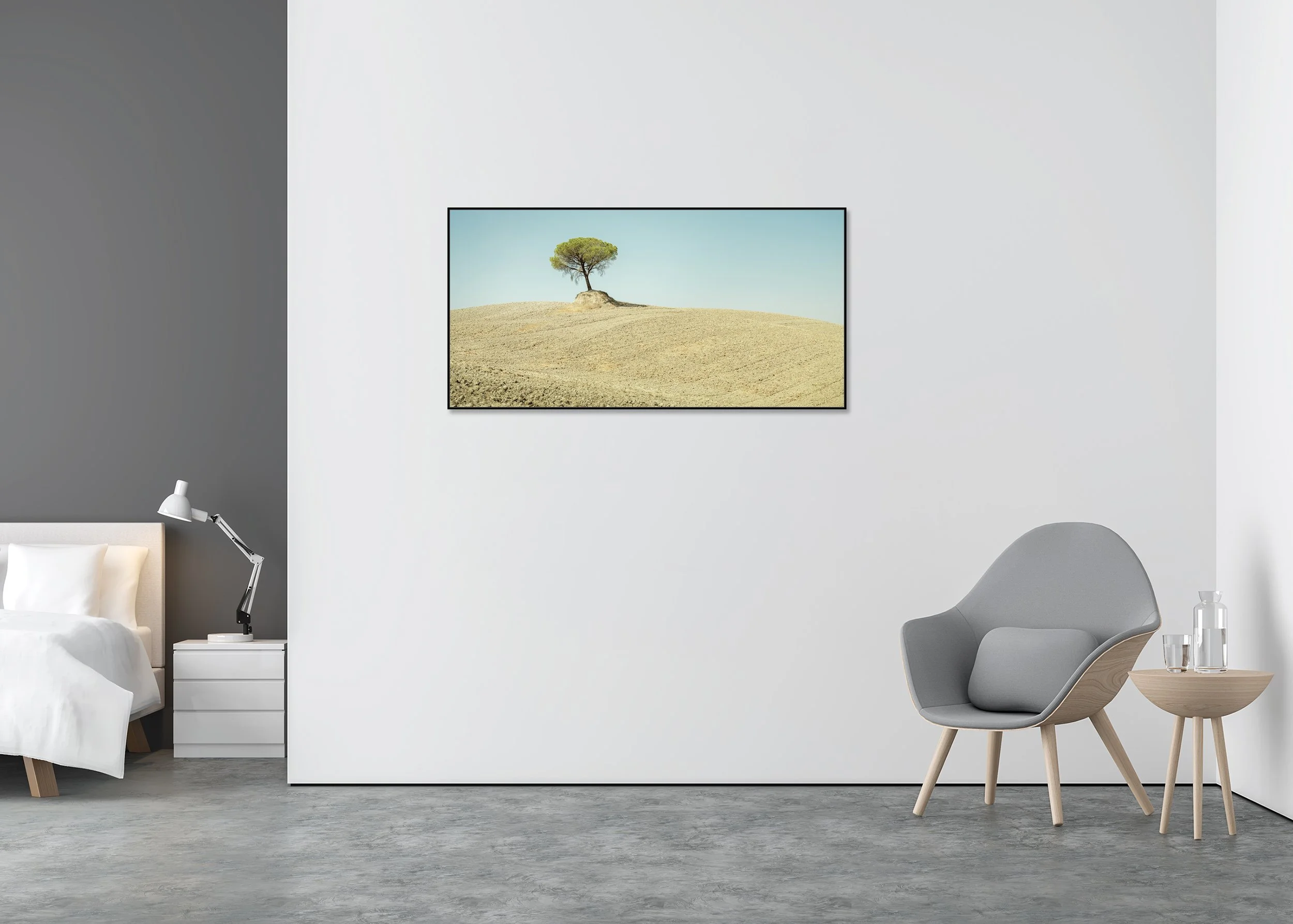 Italian Stone Pines, Study 6 – colour photograph in a black aluminium ArtBox displayed in a minimalist interior. Photo by Gerald Berghammer.