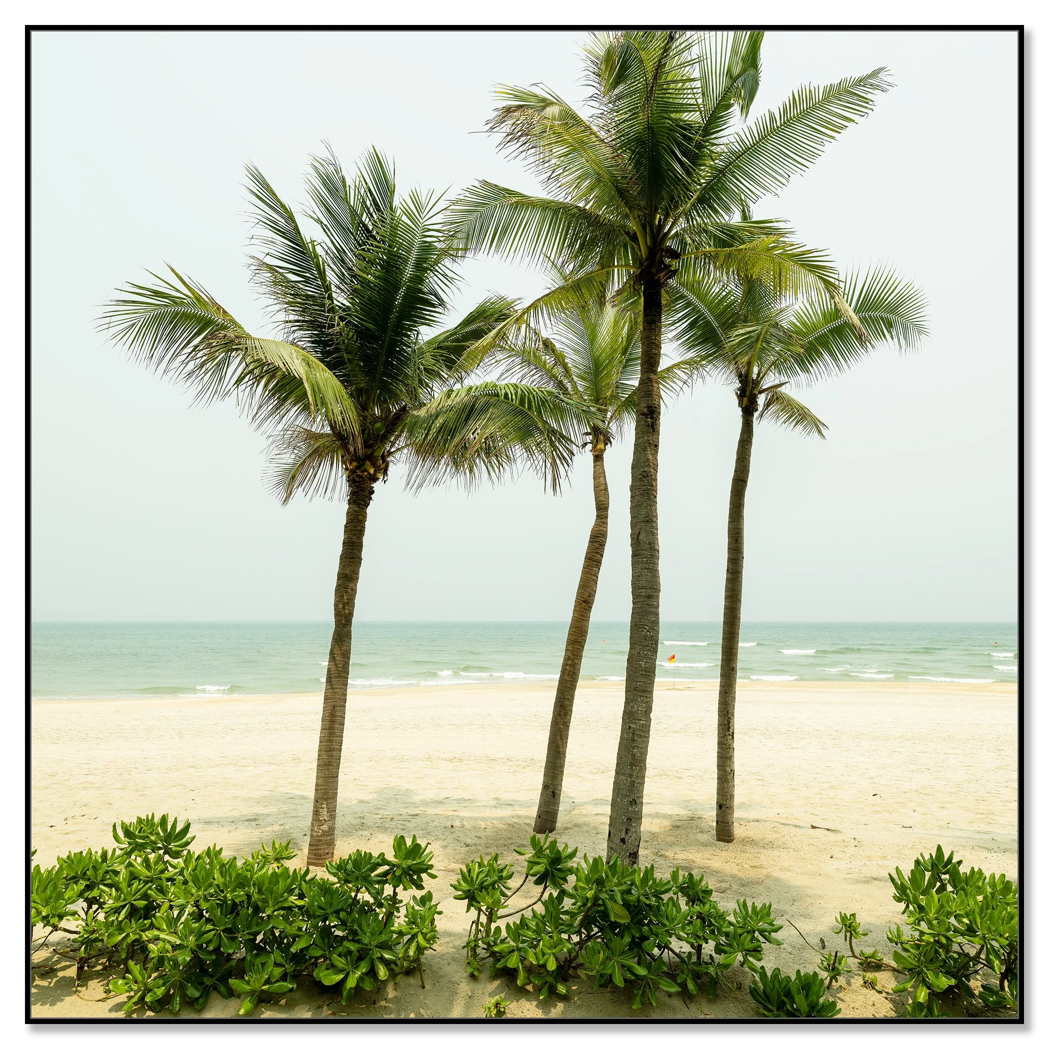 Turquoise Water with Palm Trees Study 1 mounted on aluminium Dibond in a black ArtBox frame by Gerald Berghammer.