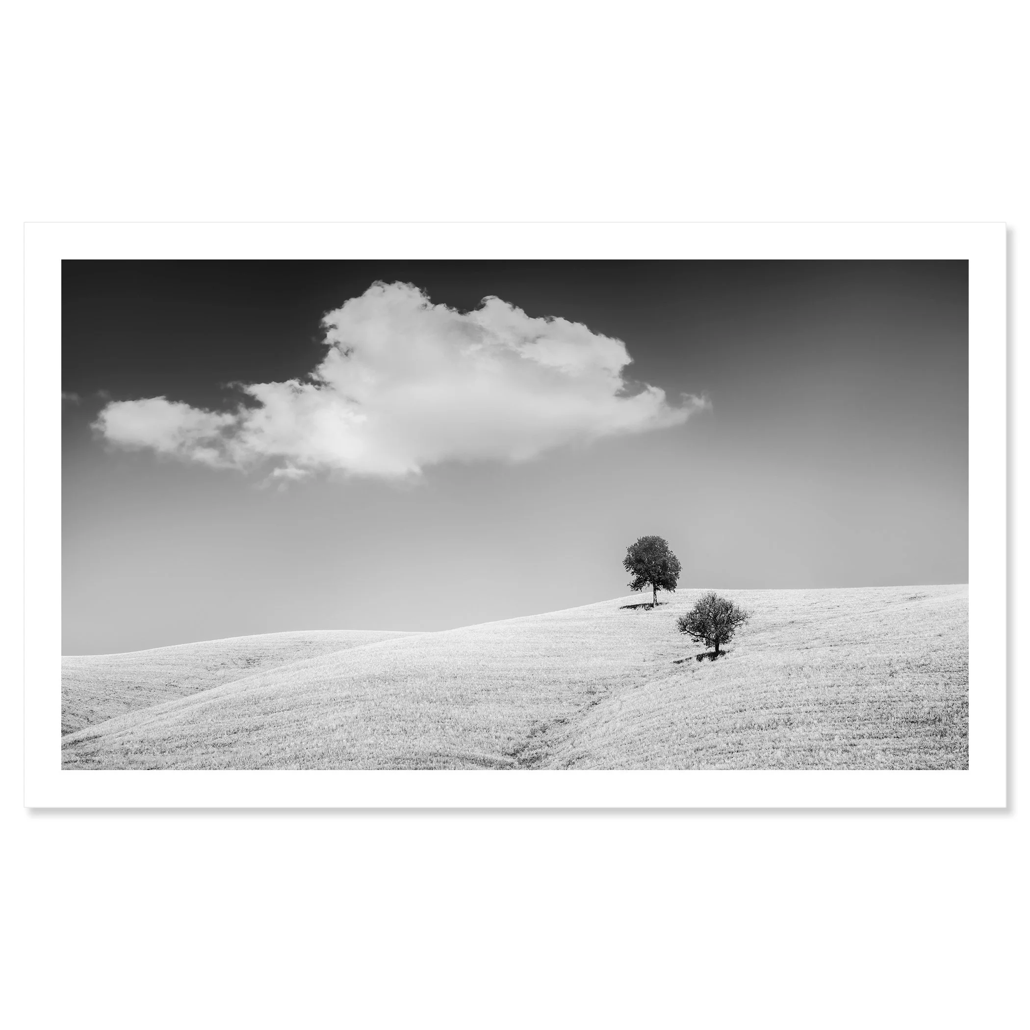 Rolling Hills with Trees Study 1 – Tuscany, Italy, black-and-white fine art print on paper with white border
