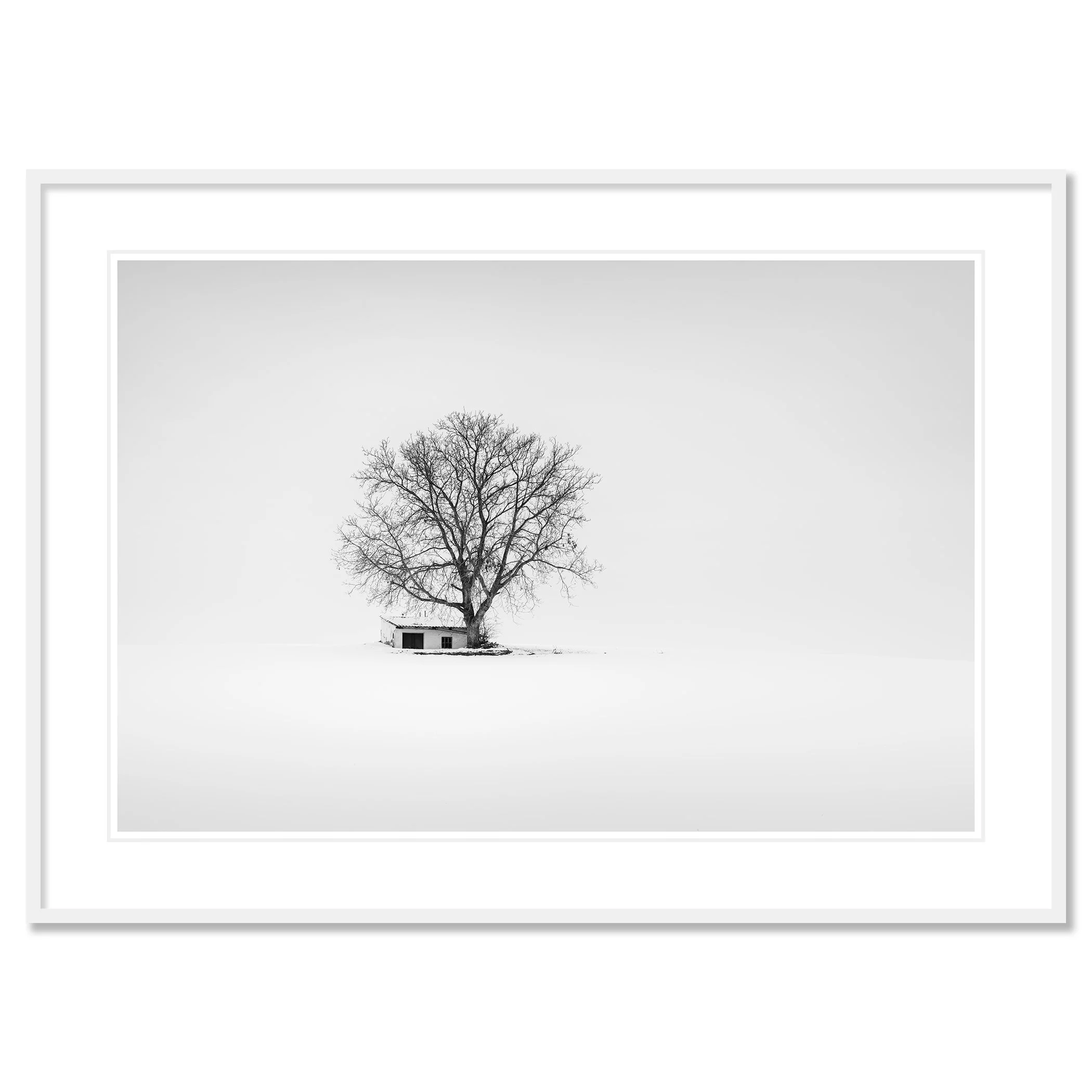 Wine Press House Winter Study 2 as an archival pigment print in a white aluminium frame with a white mount by Gerald Berghammer.
