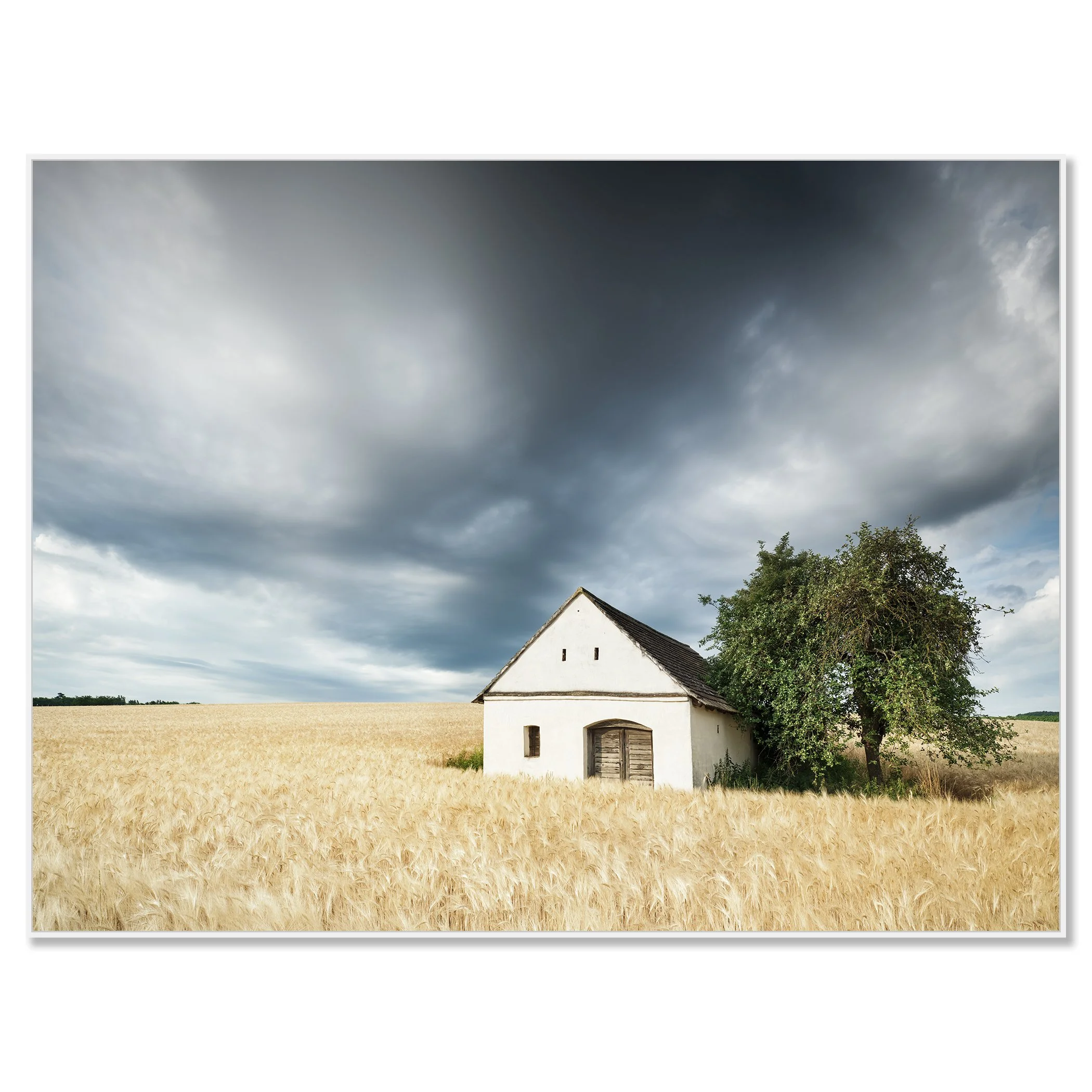 Small white wine press house in a golden wheat field under dramatic storm clouds – framed ArtBox white