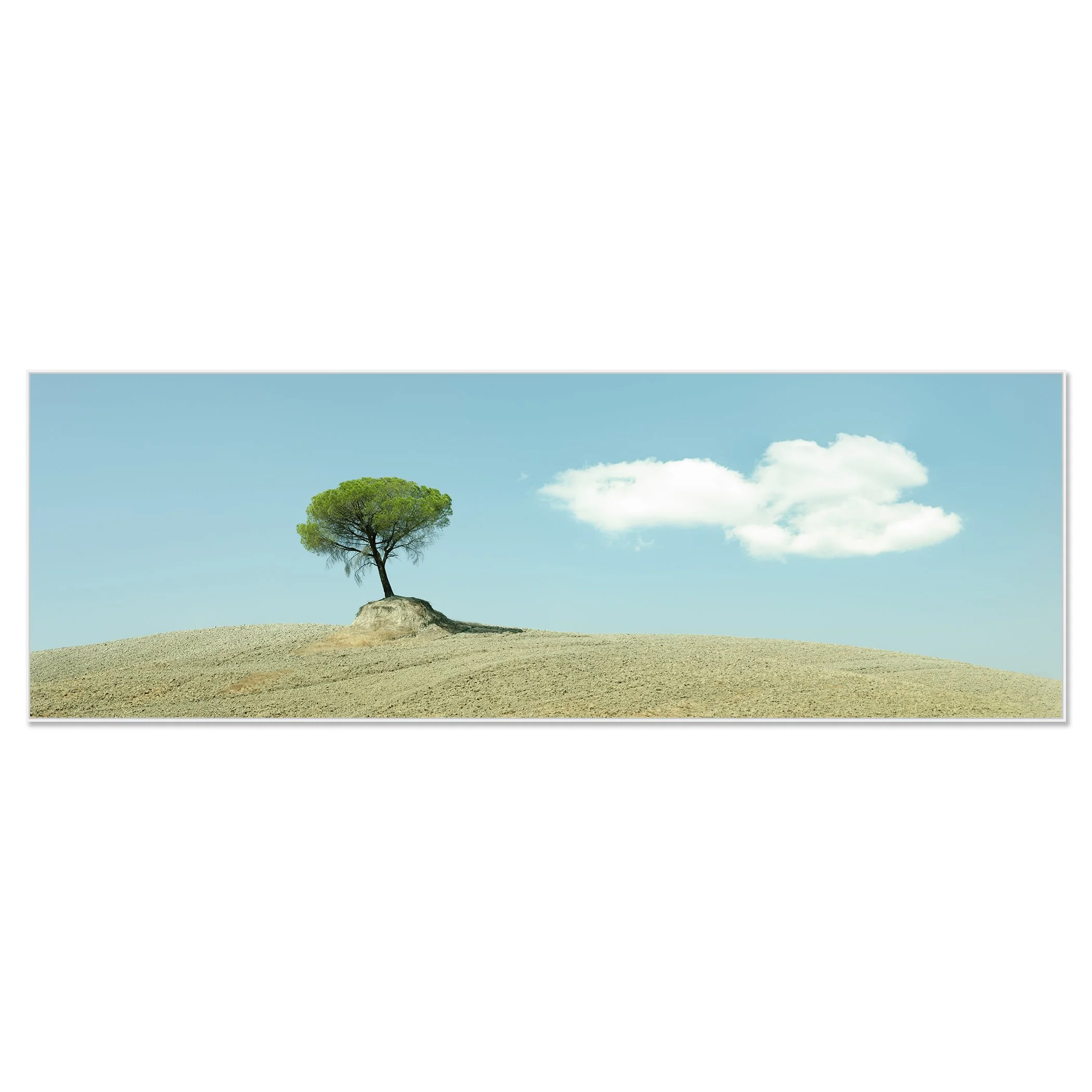 Solitary tree in Tuscany standing on a barren hill with soft white clouds – framed ArtBox white