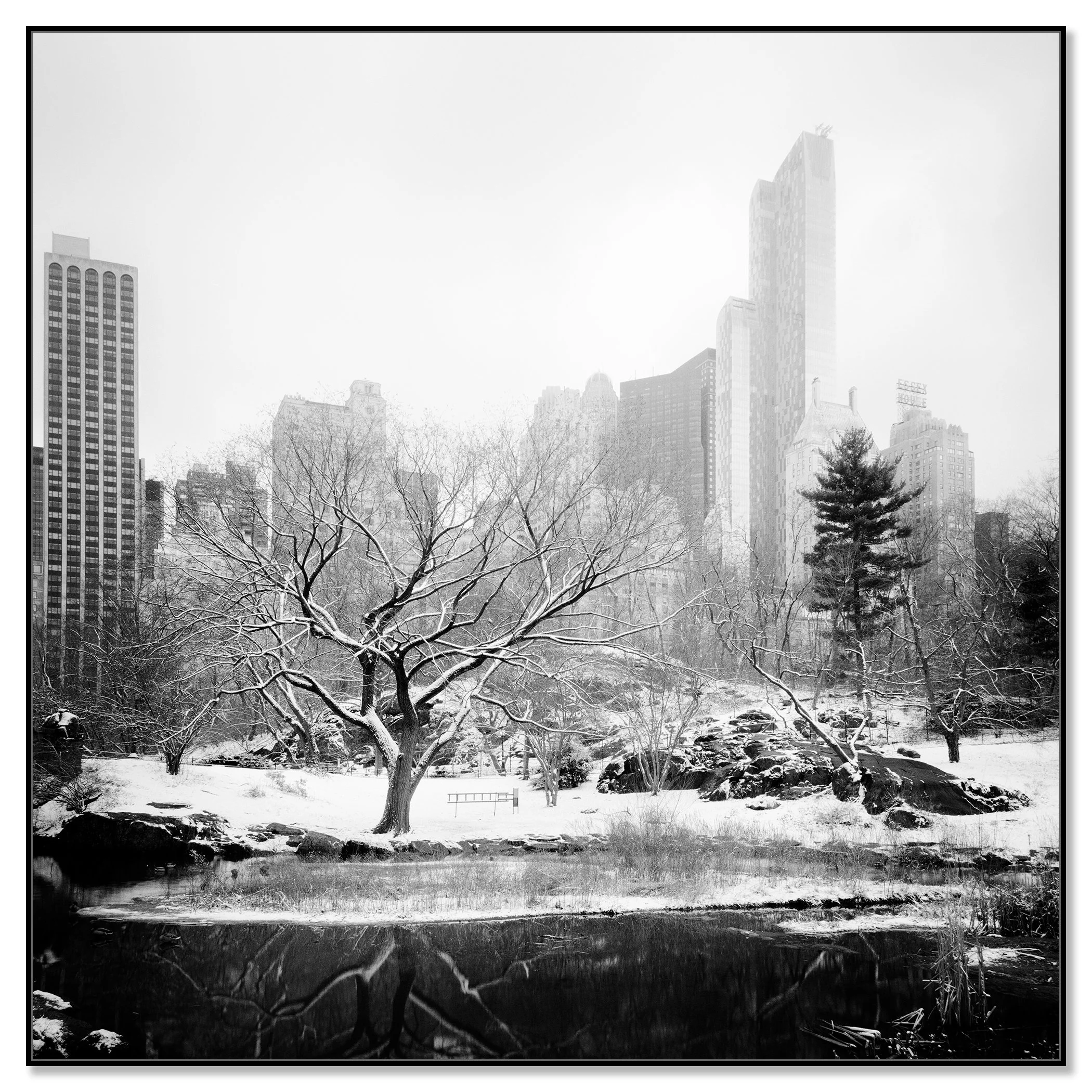 Snow-Covered Central Park Study 7 displayed as a black-and-white Dibond print in a black aluminium ArtBox frame by Gerald Berghammer.